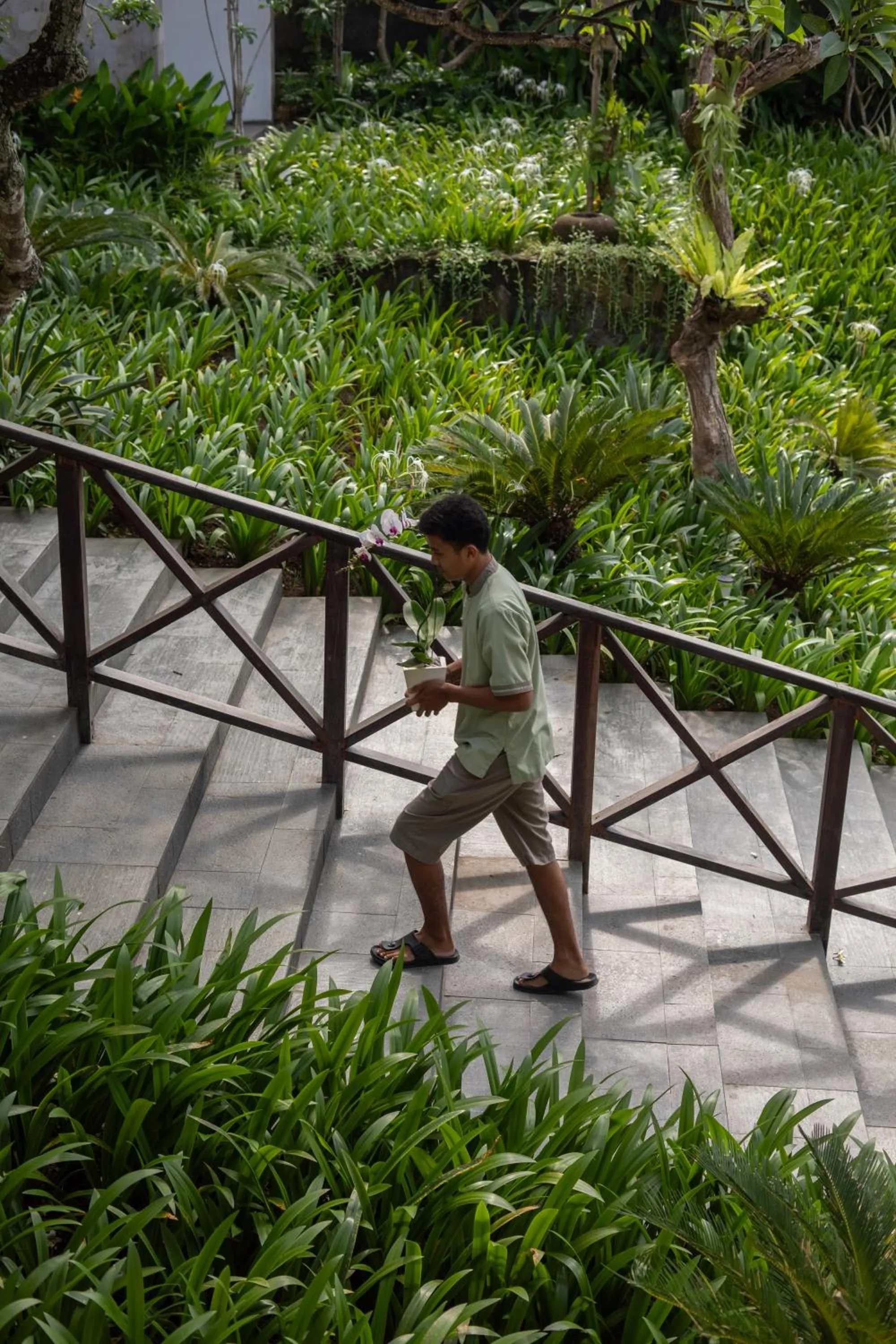 Garden in Dialoog Seminyak