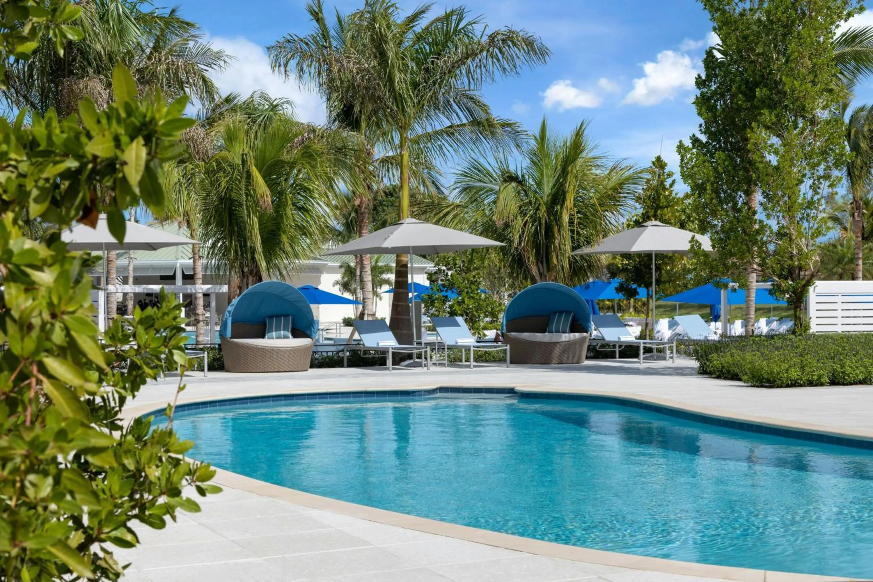 Swimming pool in The Belgrove Resort & Spa, West Palm Beach, Autograph Collection