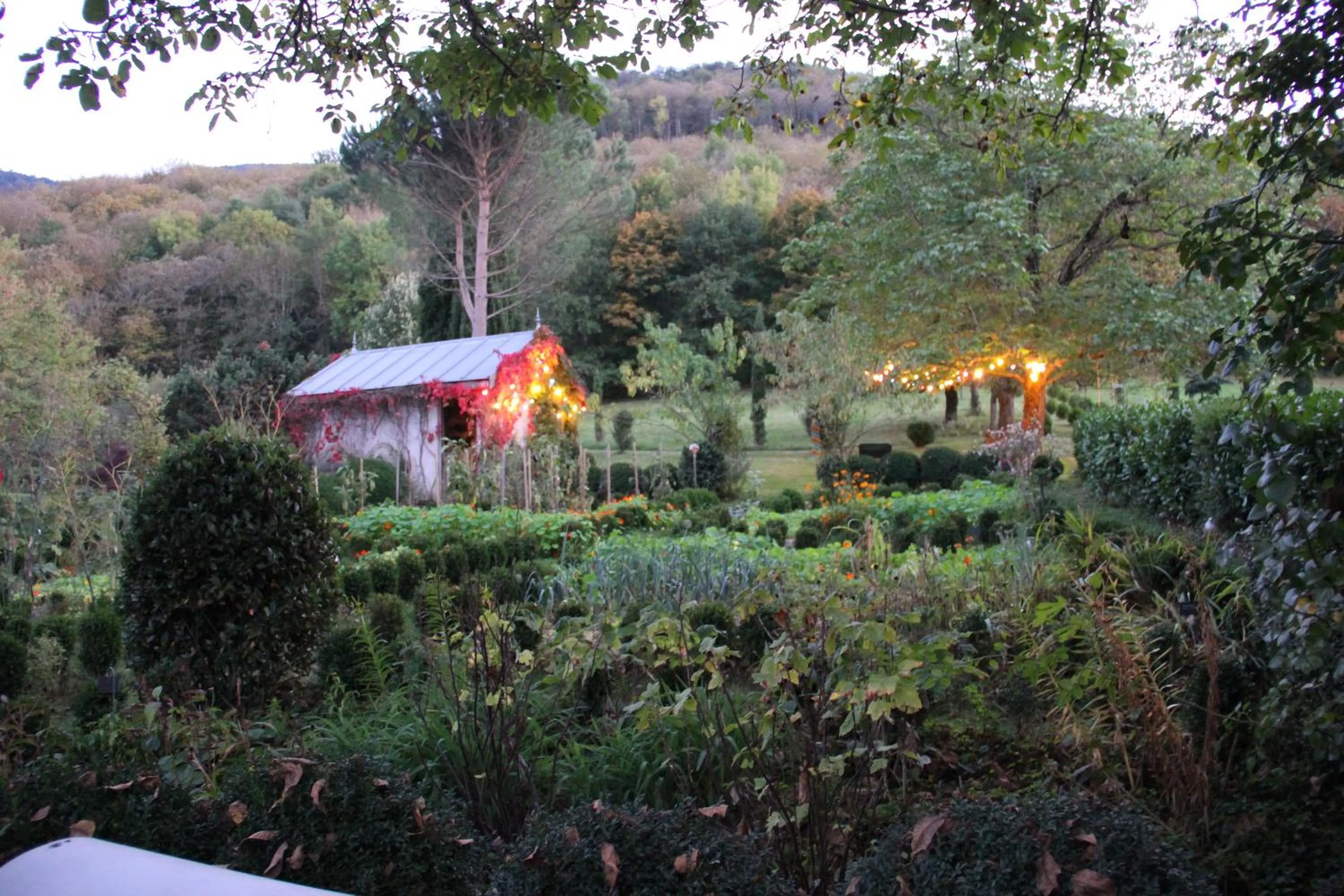 Autumn in La Hulotte