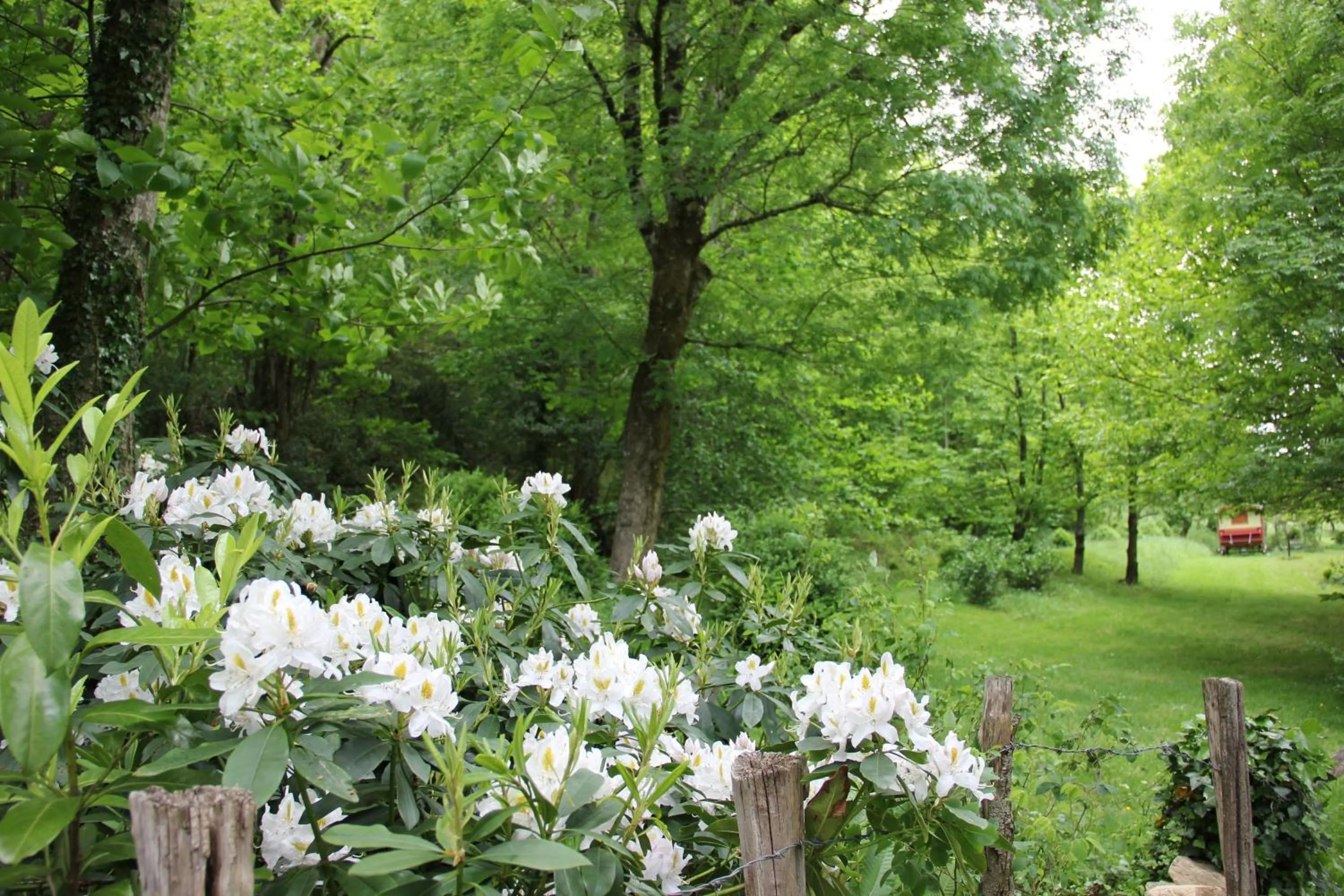 Garden in La Hulotte