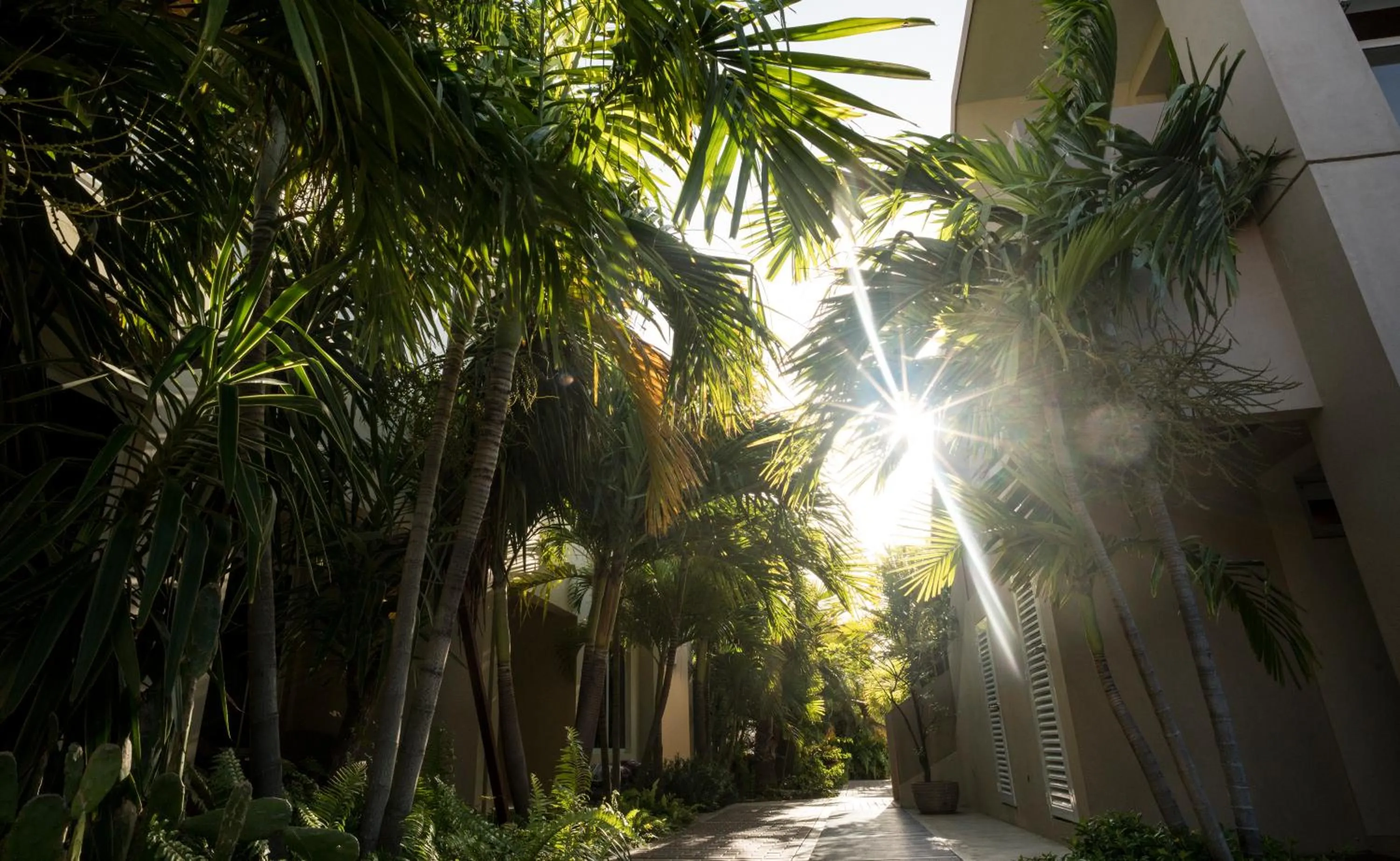 Patio in Costa Esmeralda Village