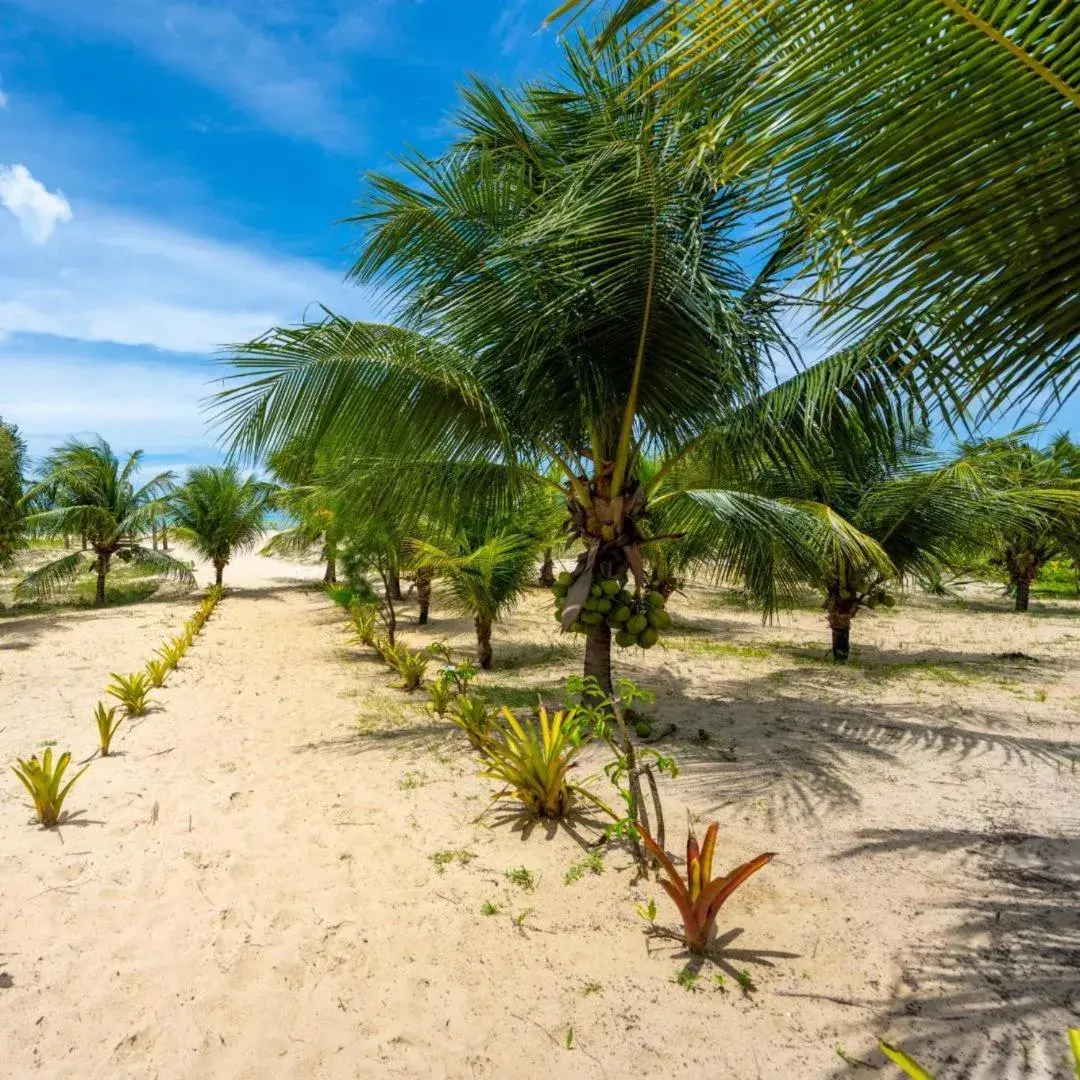 Bungalow - Beach Front in Hara Pousada e SPA Bungalow - Beach Front in Hara Pousada e SPA