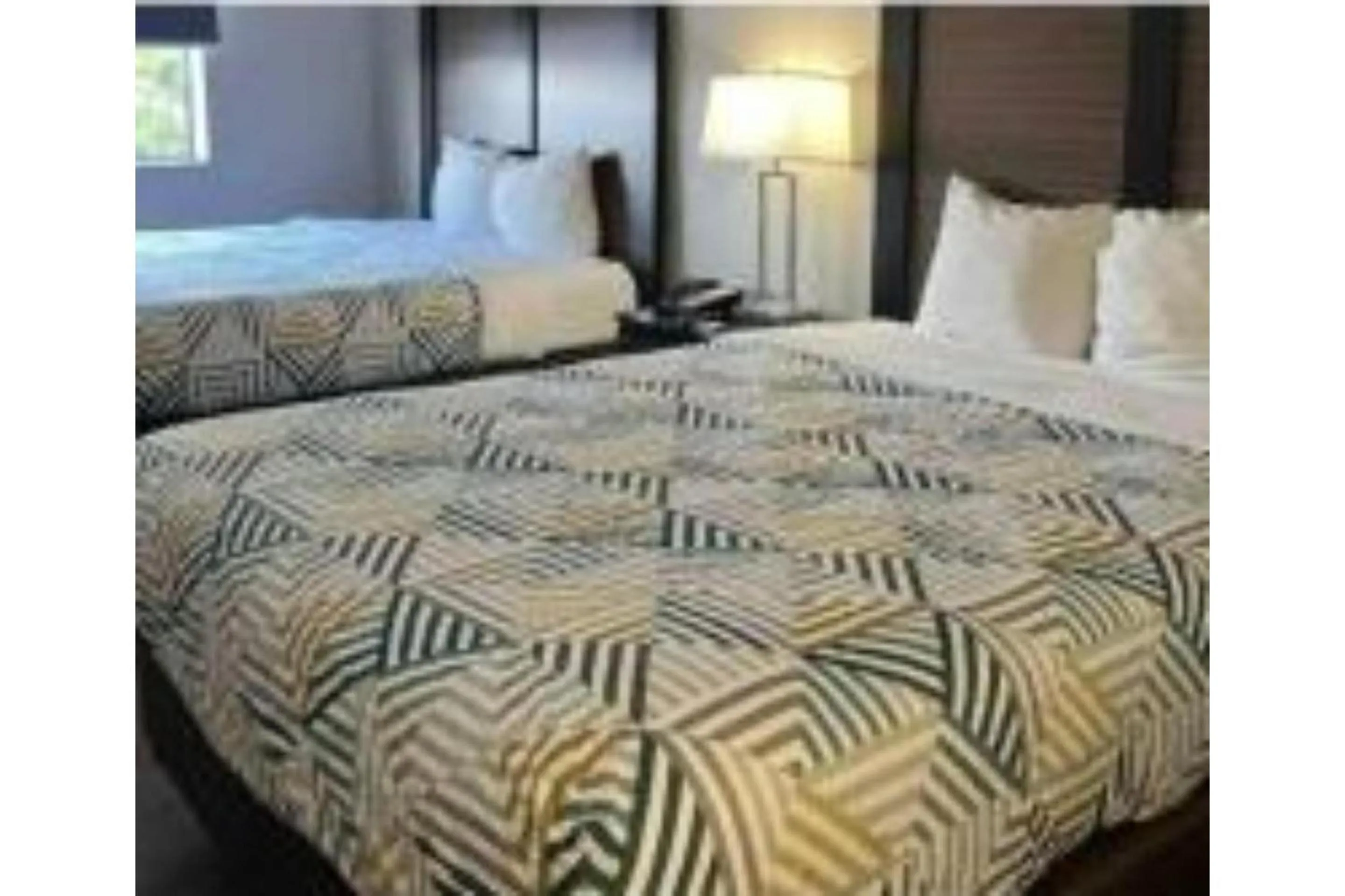 Bed in Studio 6 Suites Tucson, AZ Airport Kino Sports Complex