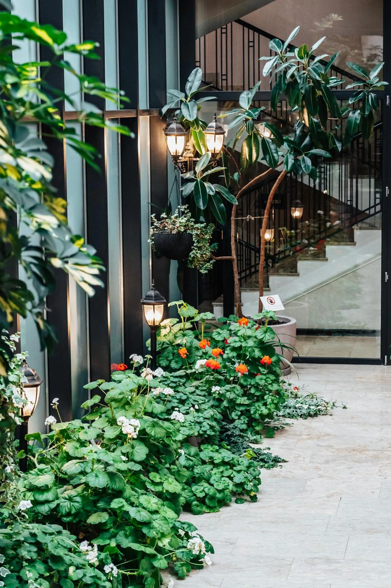 Garden in Tbilisi Laerton Hotel