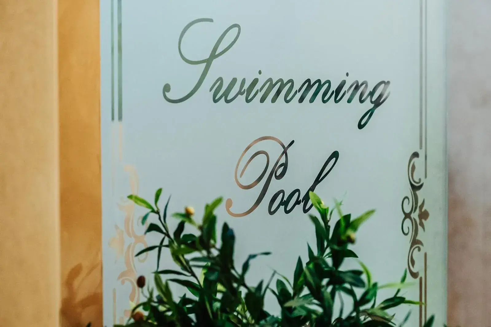 Swimming pool in Tbilisi Laerton Hotel Swimming pool in Tbilisi Laerton Hotel