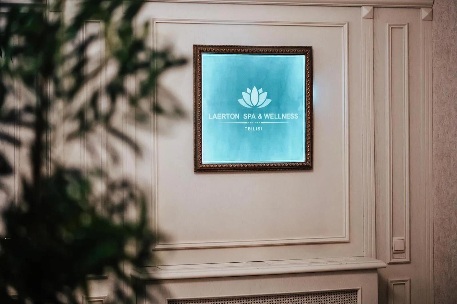 Spa and wellness centre/facilities in Tbilisi Laerton Hotel