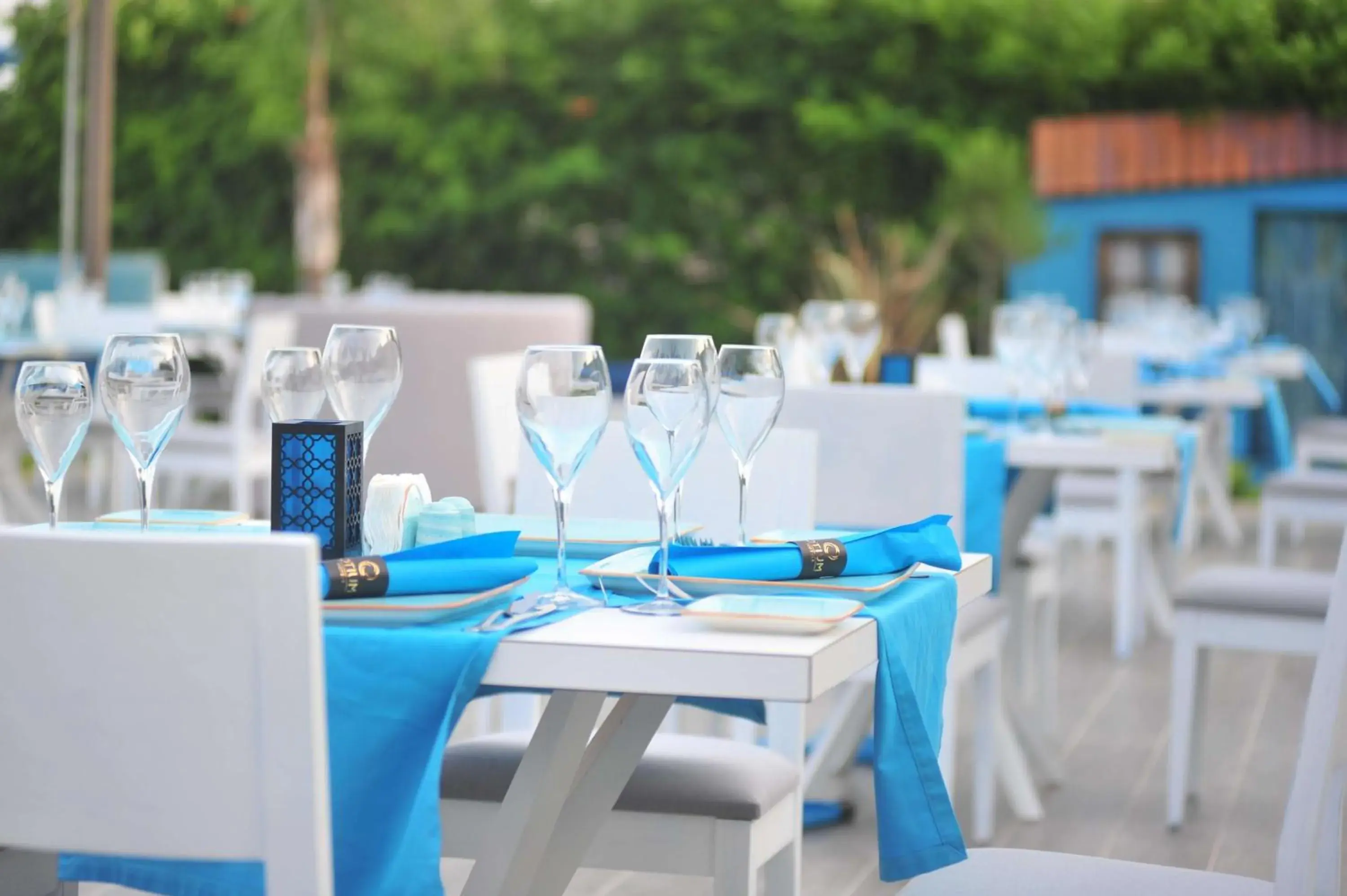 Restaurant/places to eat in Seven Seas Hotel Life - Ultra All Inclusive & Kids Concept Restaurant/places to eat in Seven Seas Hotel Life - Ultra All Inclusive & Kids Concept