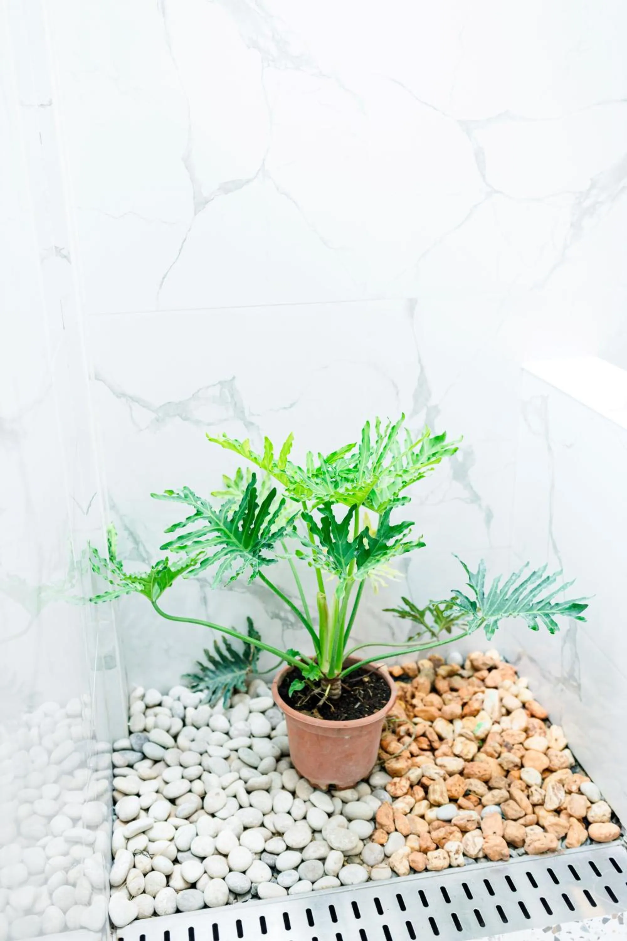 Bathroom in E L Westensee Resort