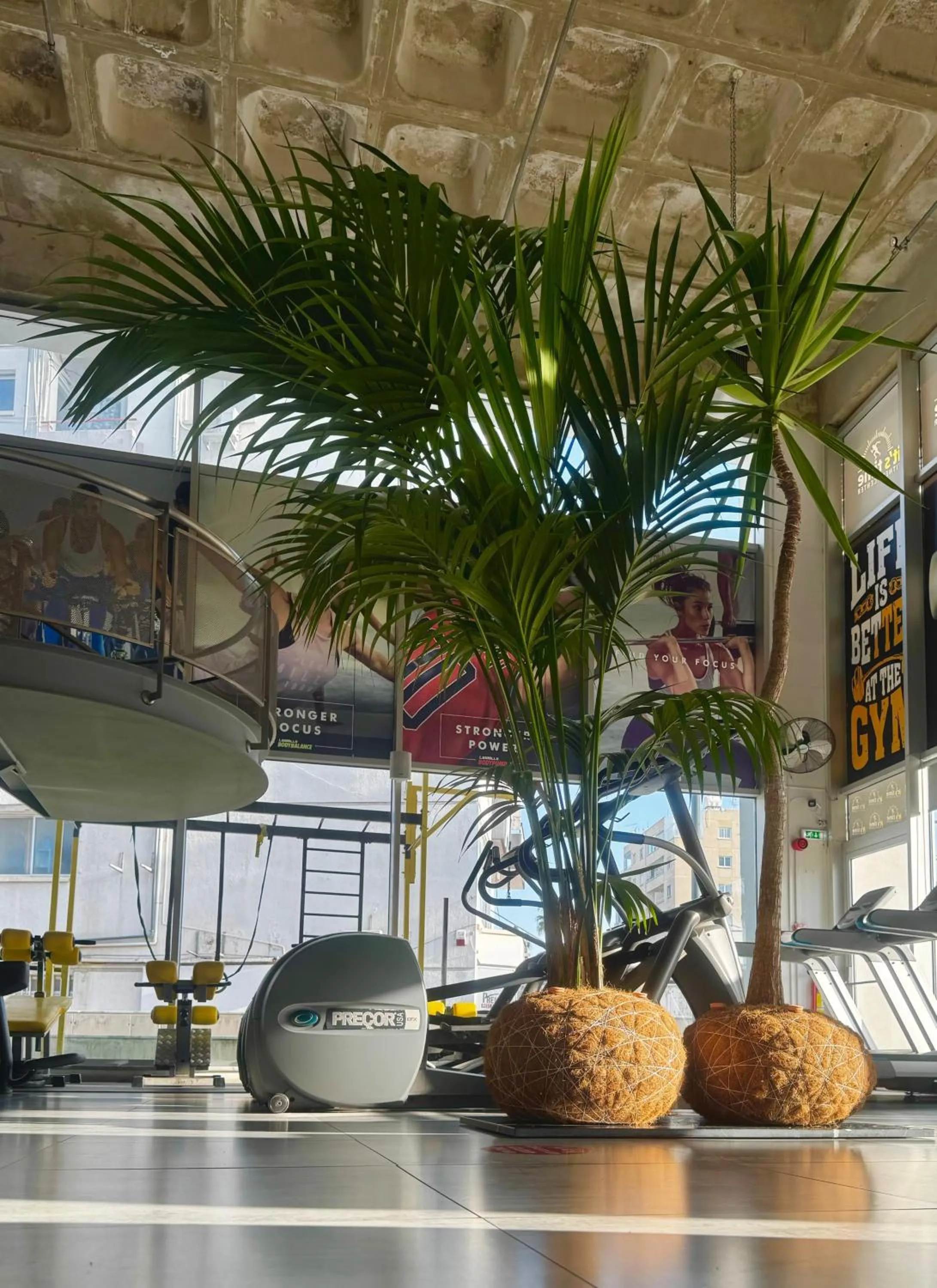 Ithaki Phinikoudes Apartment No. 204