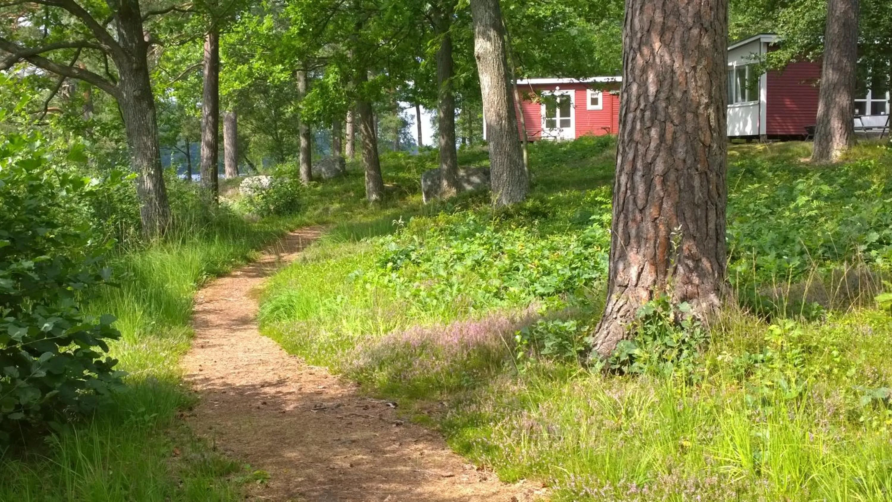 Långasjönäs Camping & Stugby