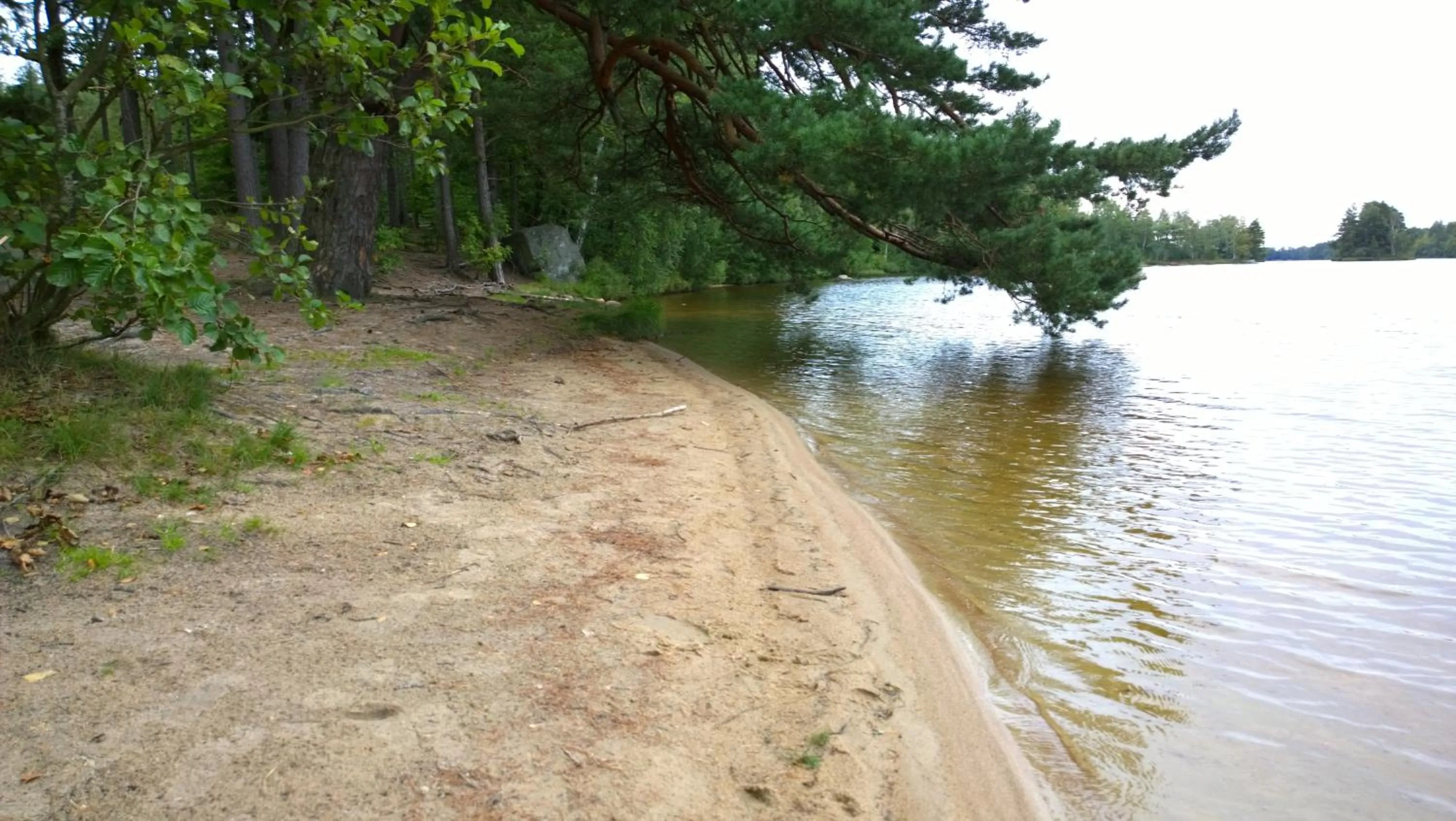 Långasjönäs Camping & Stugby