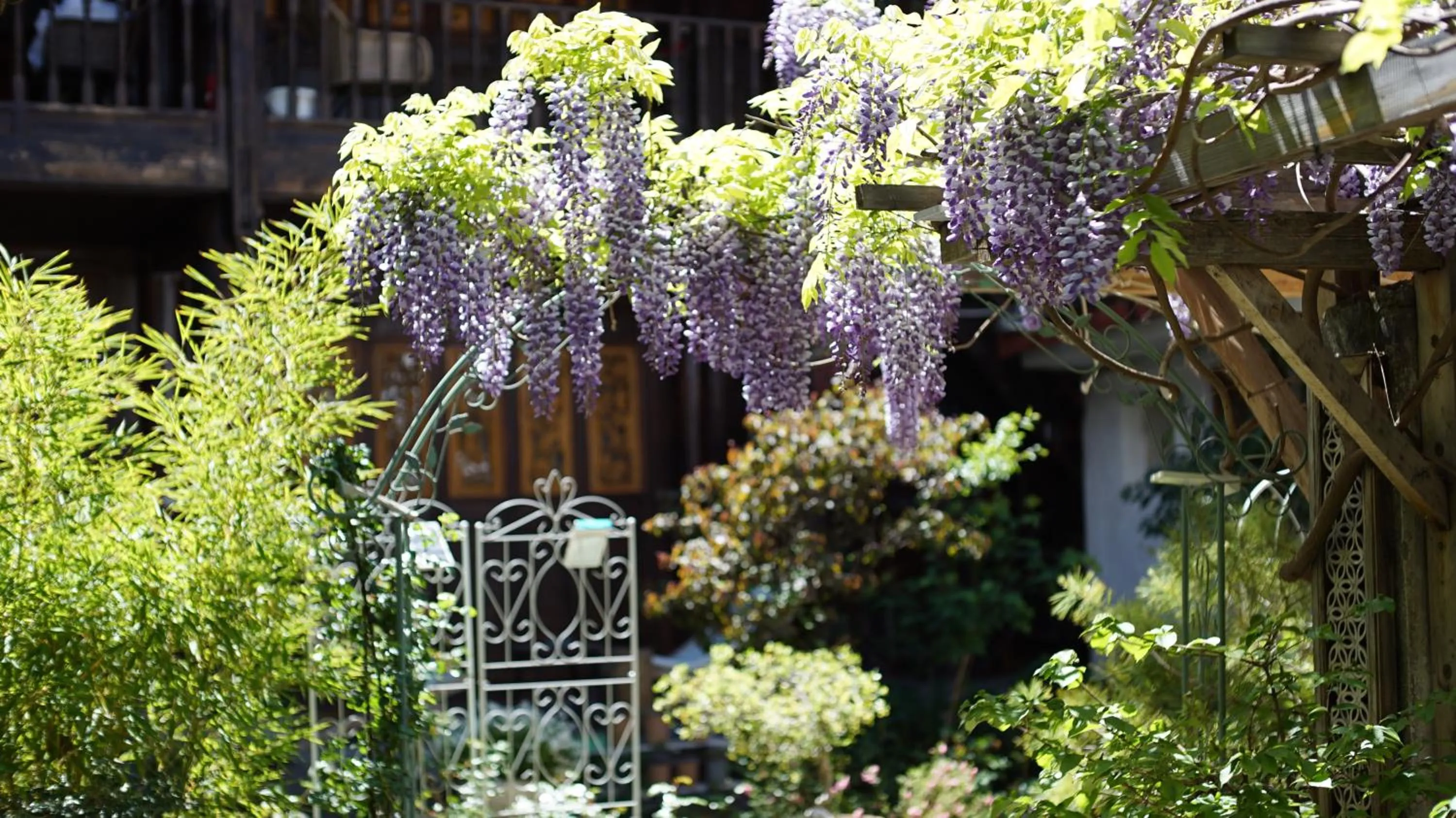 Garden view in Tuo Tuo Guest House
