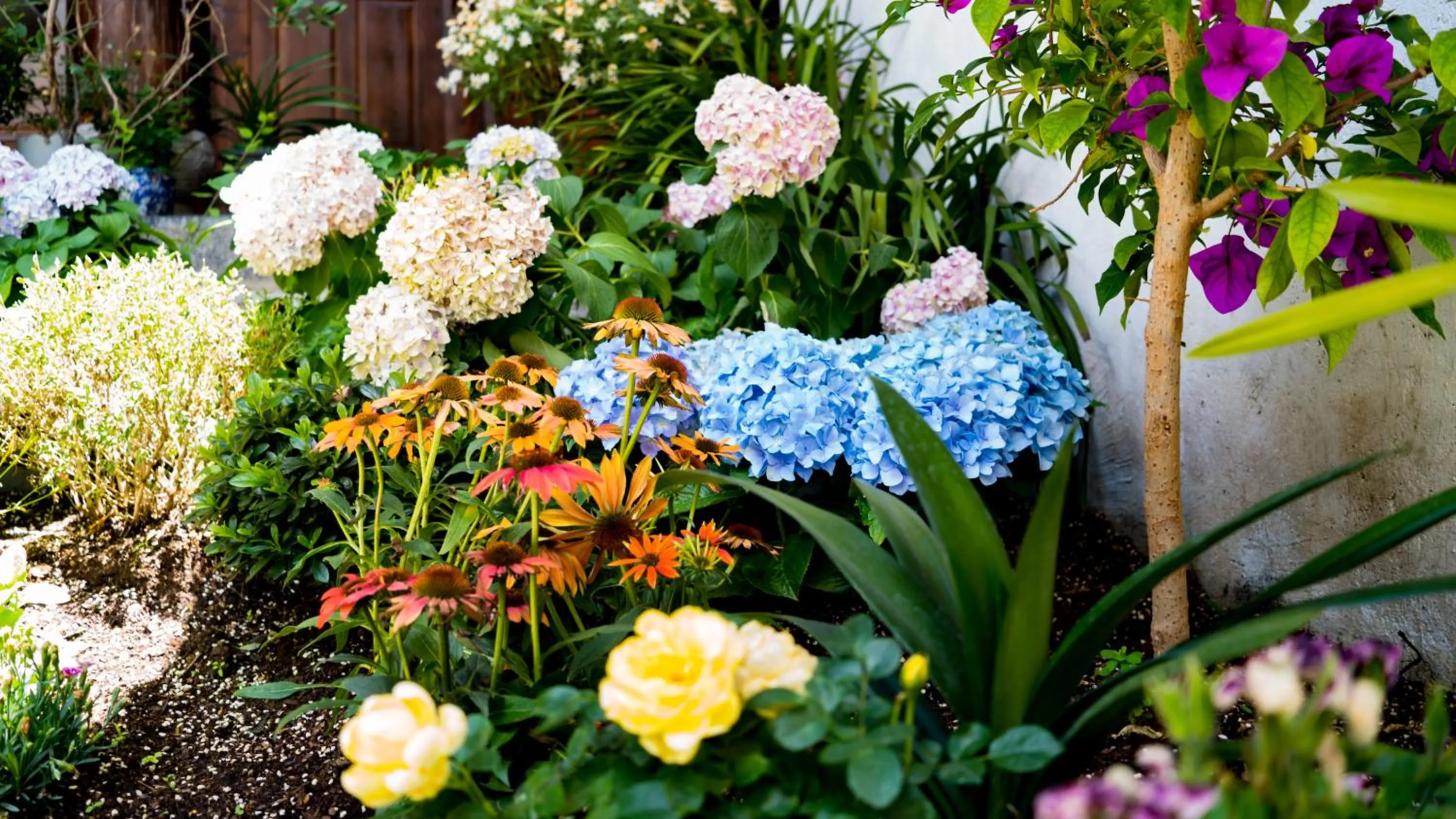 Day in Tuo Tuo Guest House