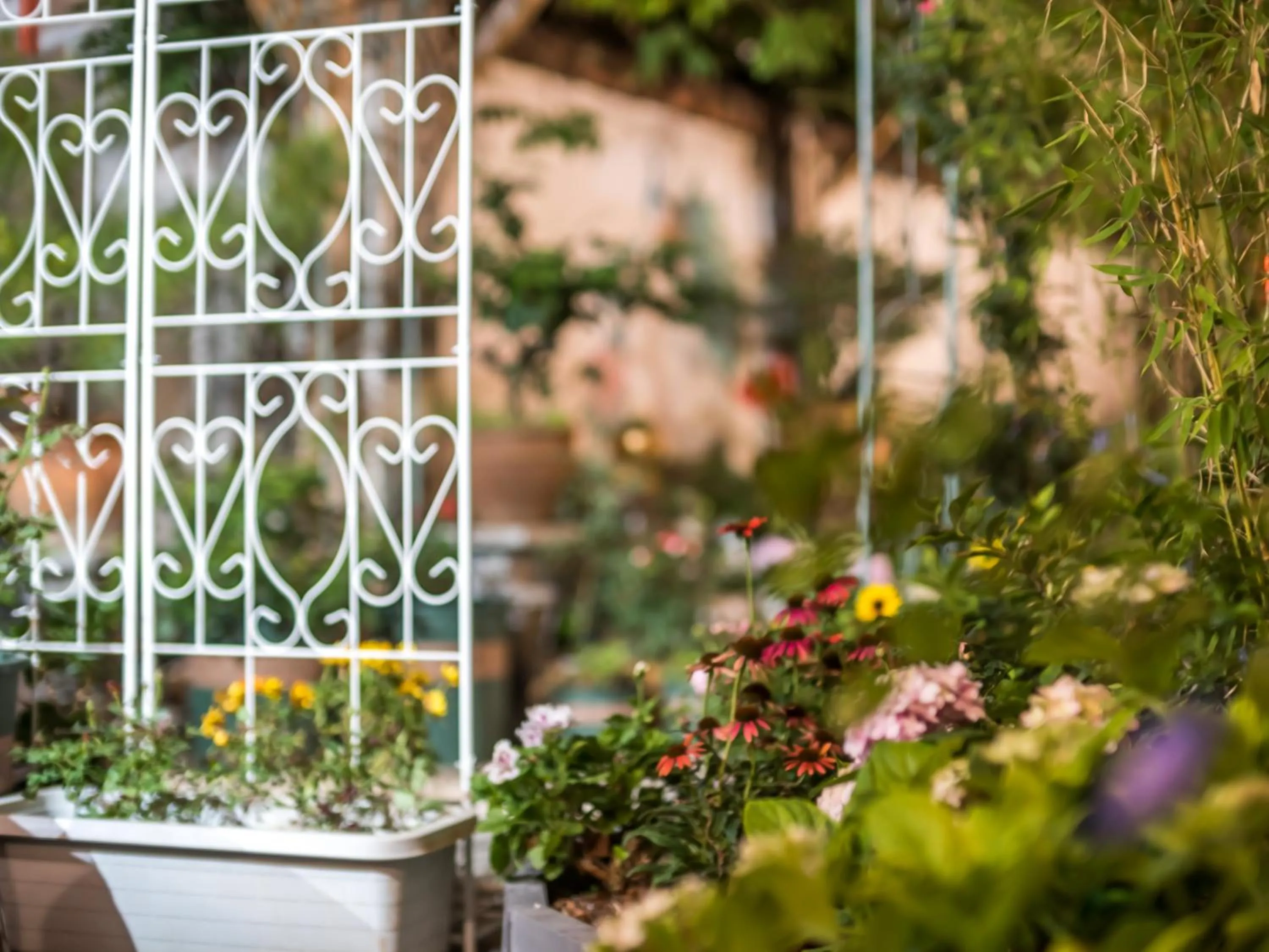 Day in Tuo Tuo Guest House