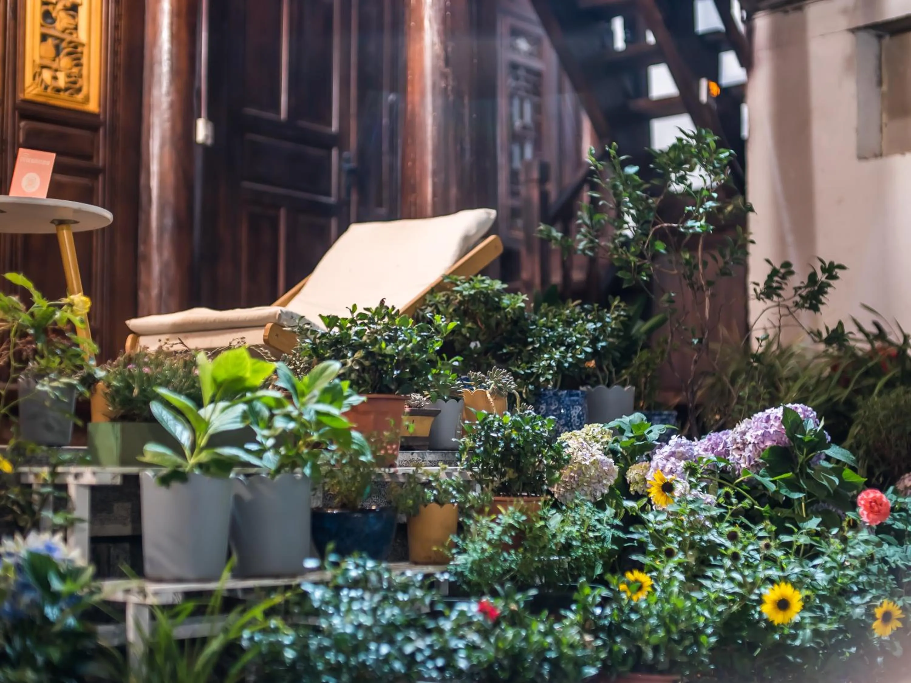 Day in Tuo Tuo Guest House