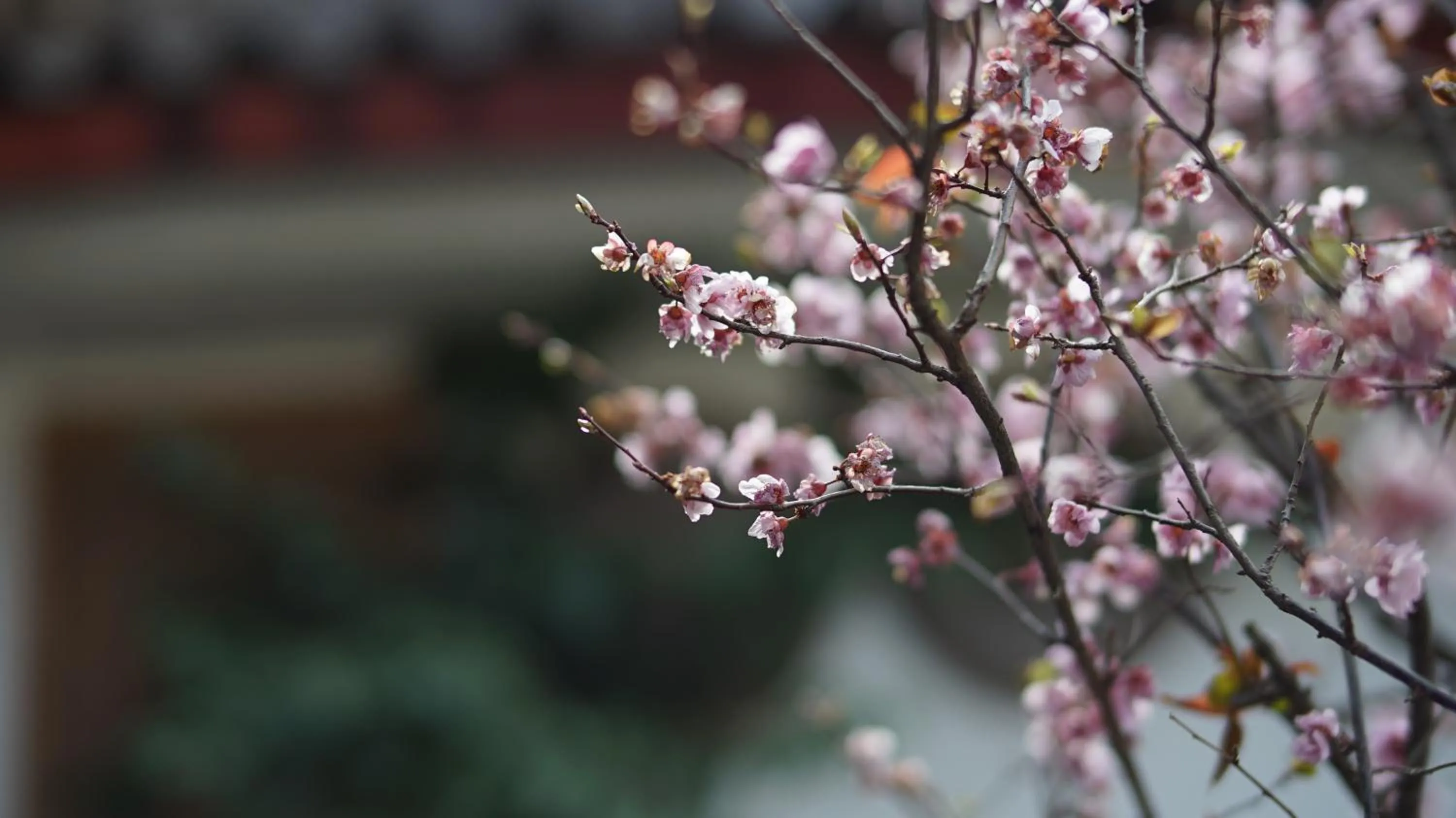 Property building in Tuo Tuo Guest House