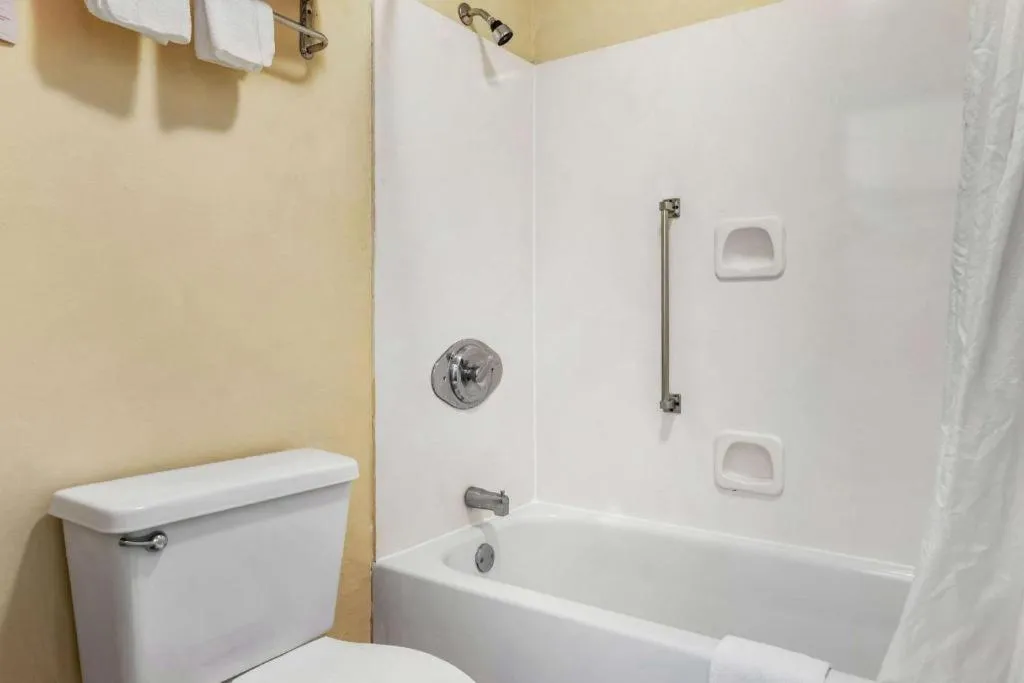 Econo Lodge Inn & Suites Forest