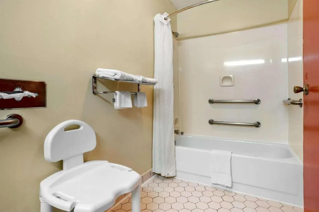 Econo Lodge Inn & Suites Forest