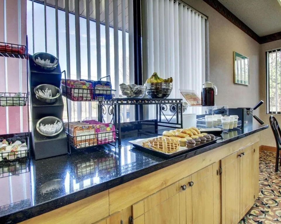 Econo Lodge Inn & Suites Forest