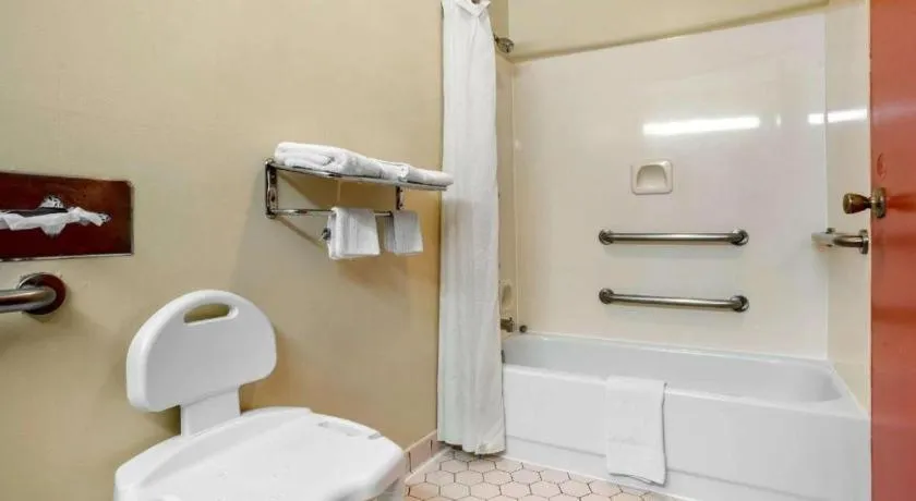 Econo Lodge Inn & Suites Forest