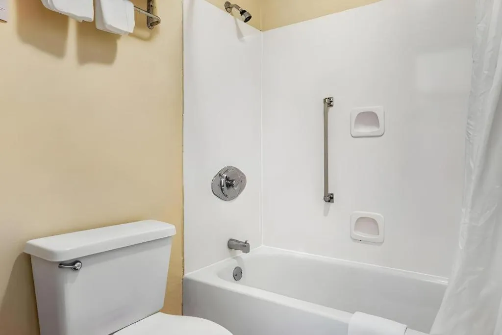 Econo Lodge Inn & Suites Forest