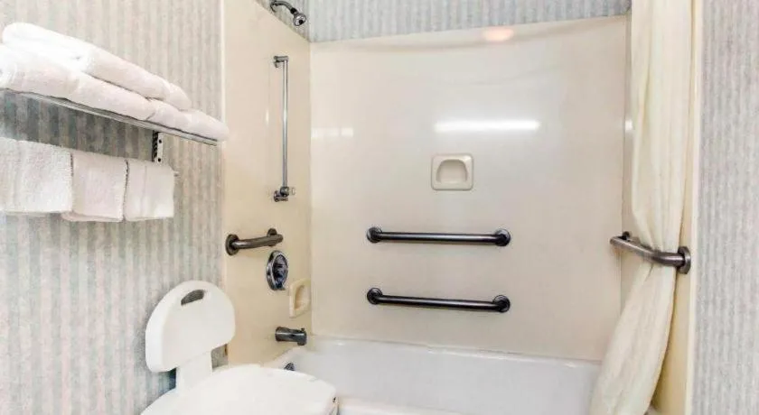 Econo Lodge Inn & Suites Forest