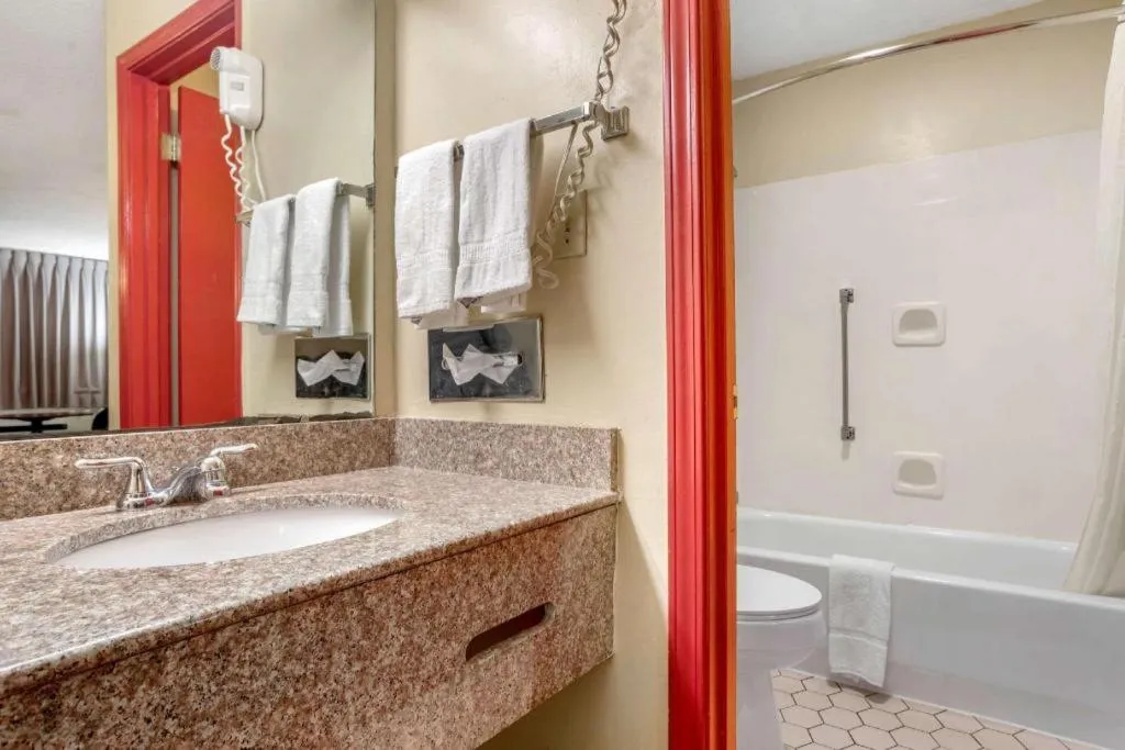 Econo Lodge Inn & Suites Forest