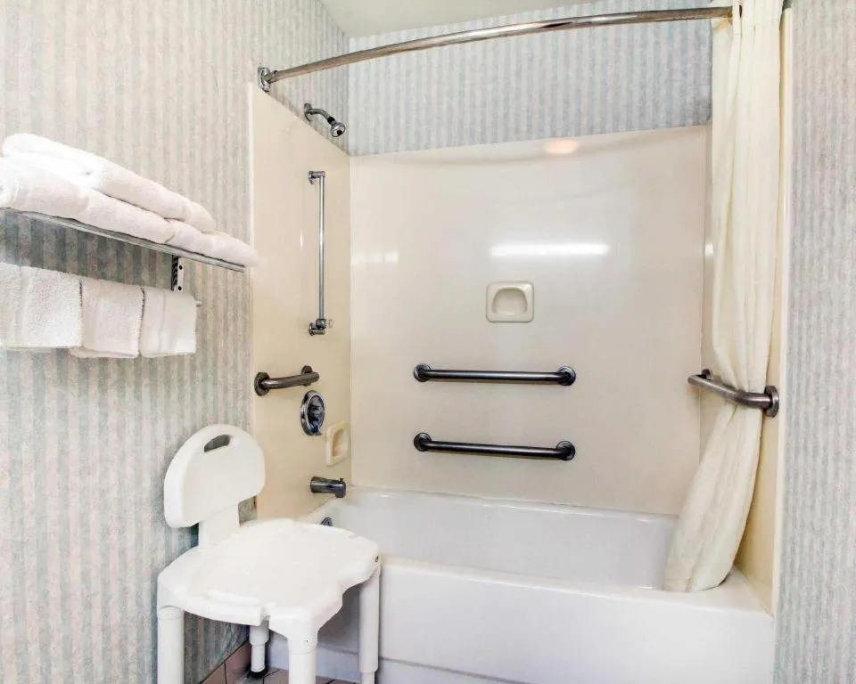 Econo Lodge Inn & Suites Forest