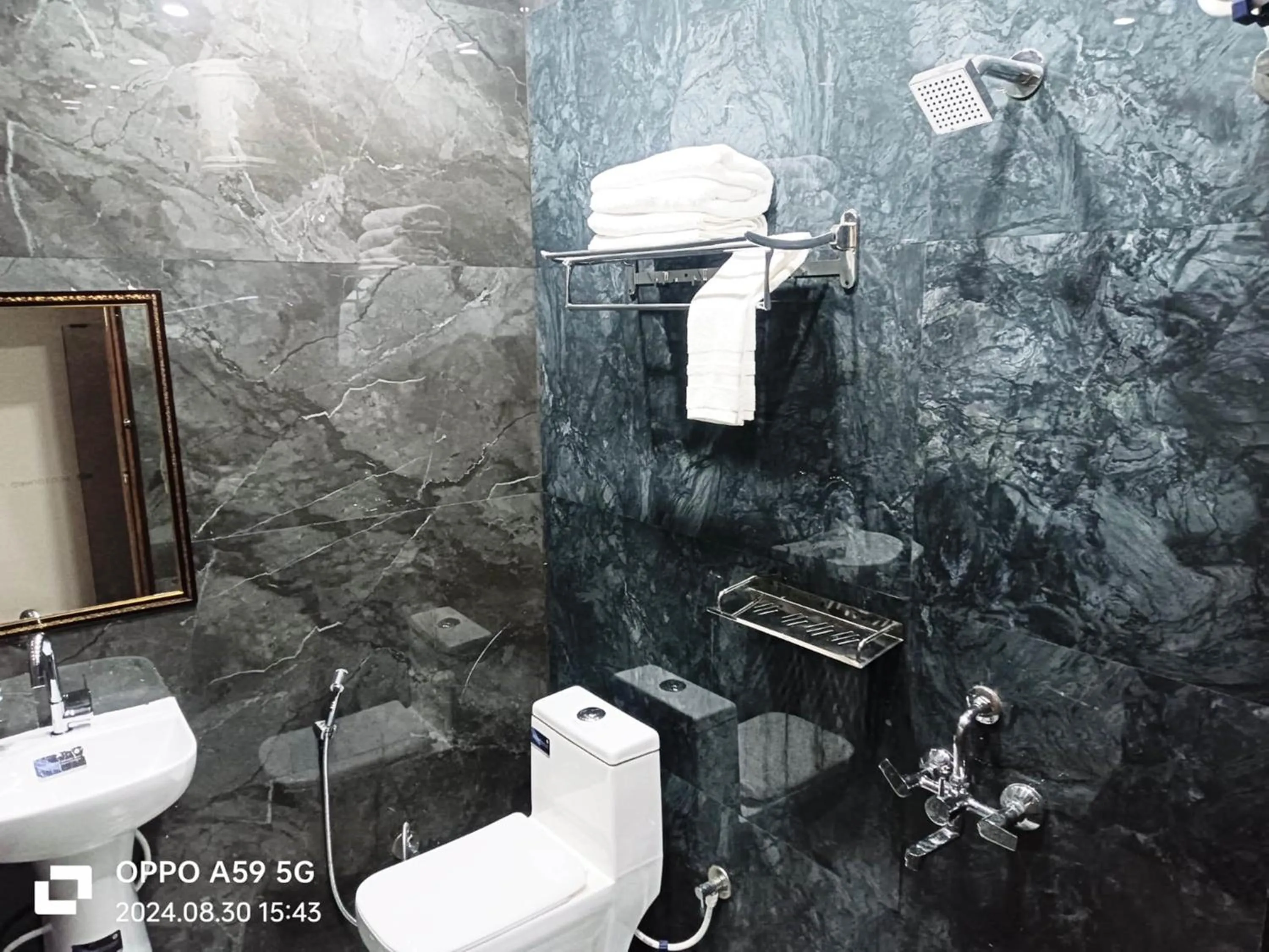 Toilet in ShriGo Hotel Pushpa Residency