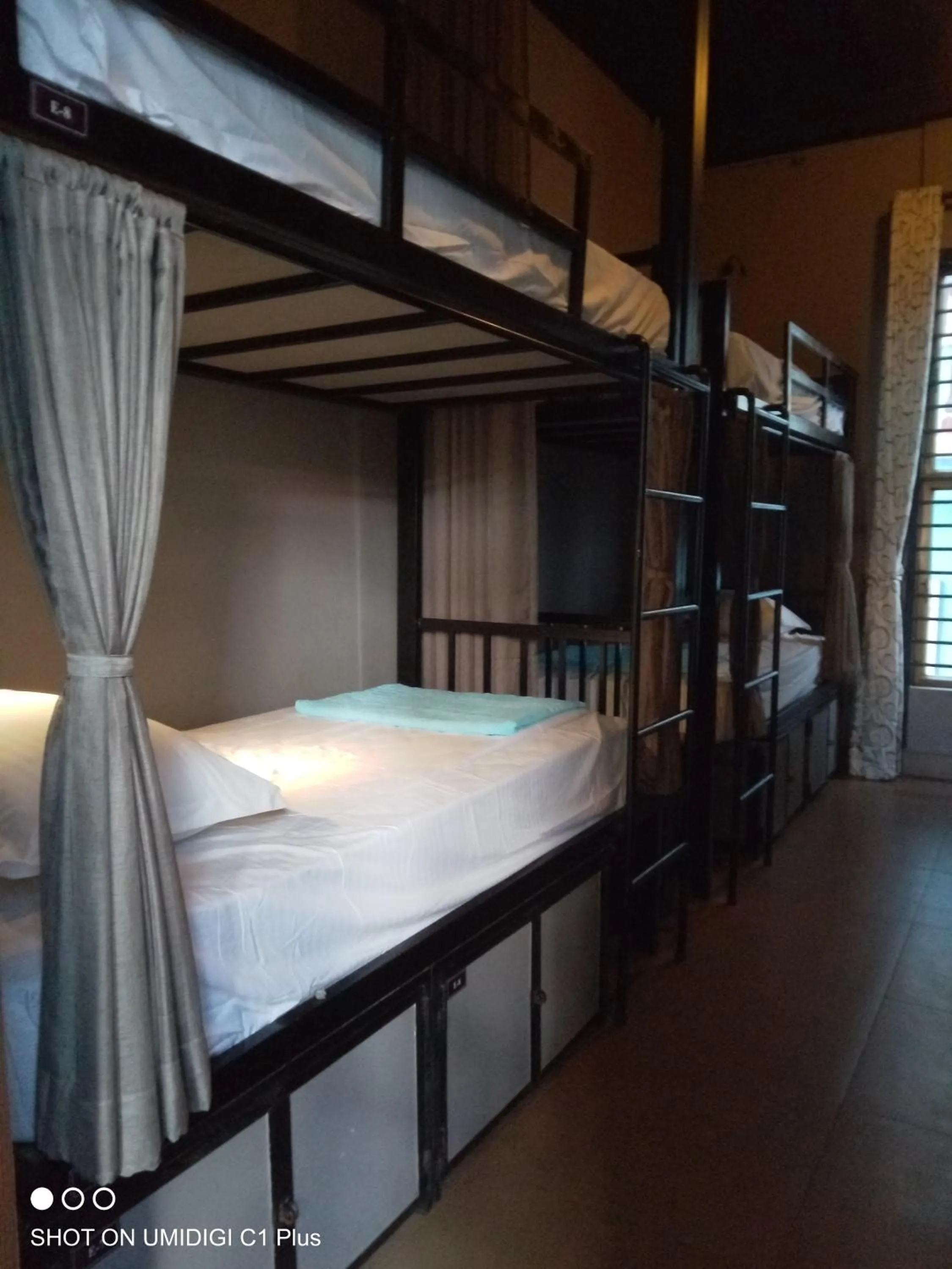 bunk bed, Bed in Feliz Hostel Cafe & Bar