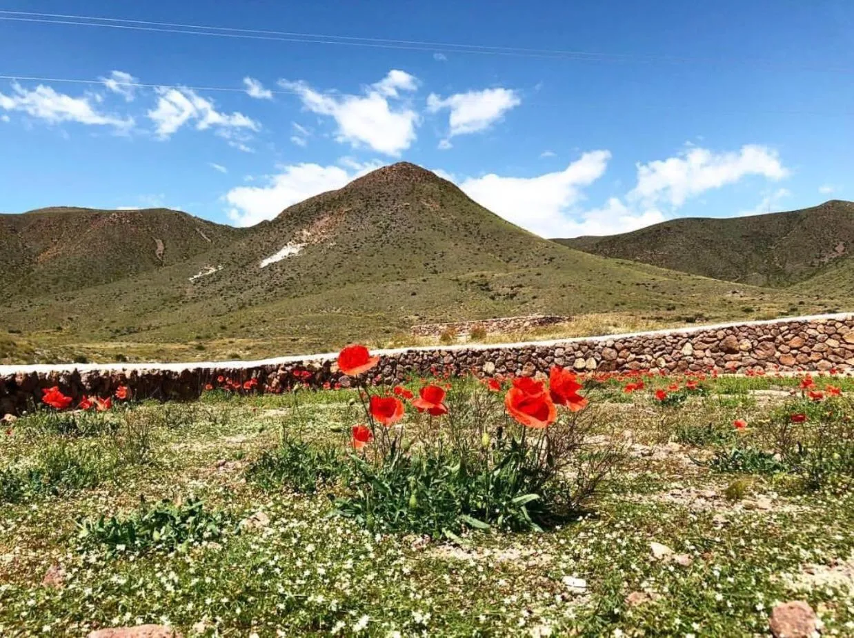 Cortijo El Paraíso