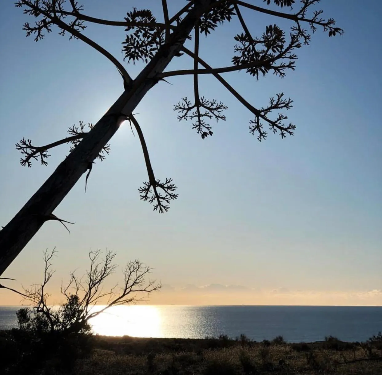 Natural landscape in Cortijo El Paraíso