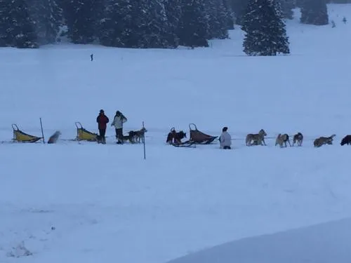 Malga Millegrobbe Nordic Resort