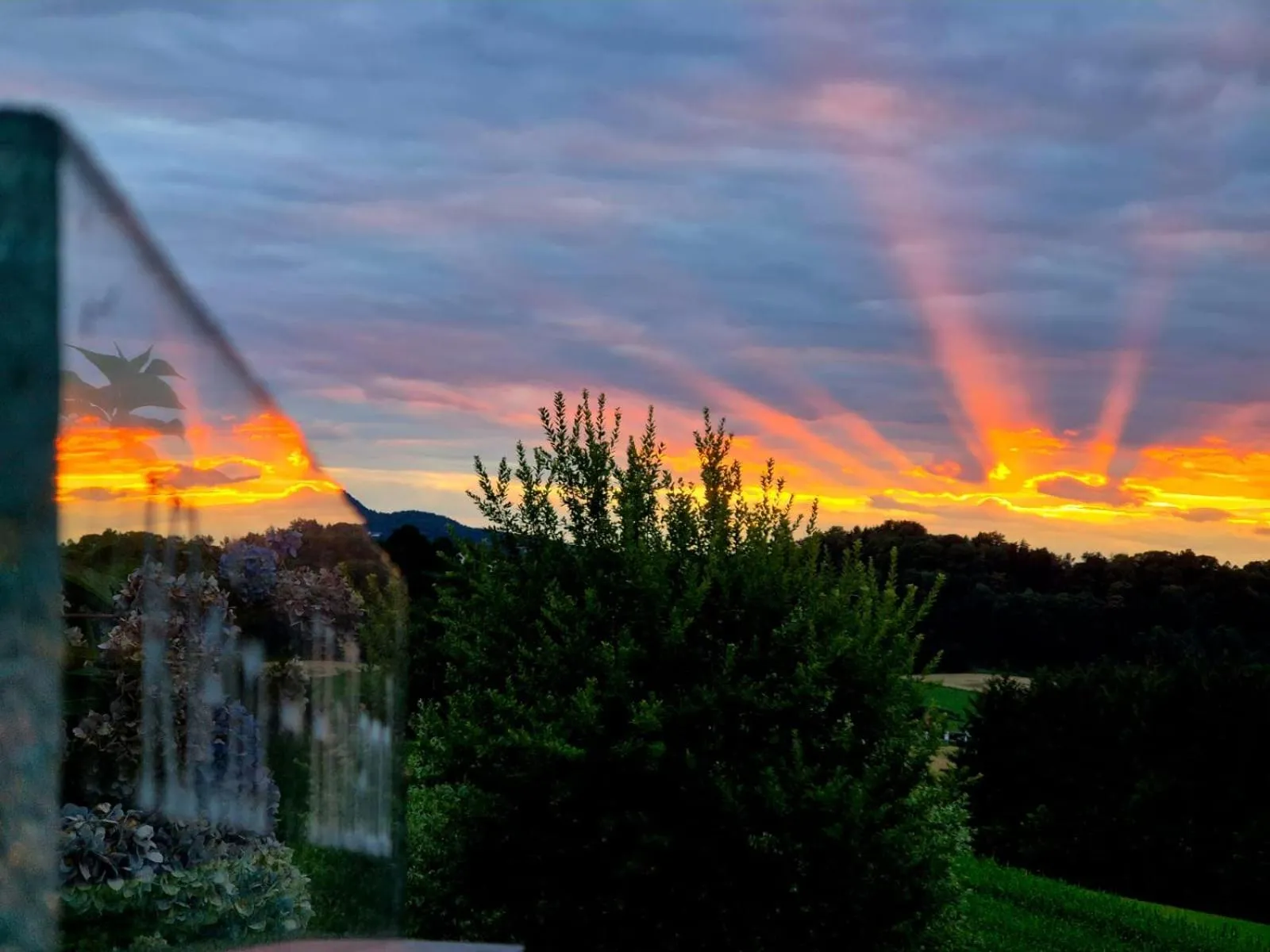 Natural landscape in Klein Holland