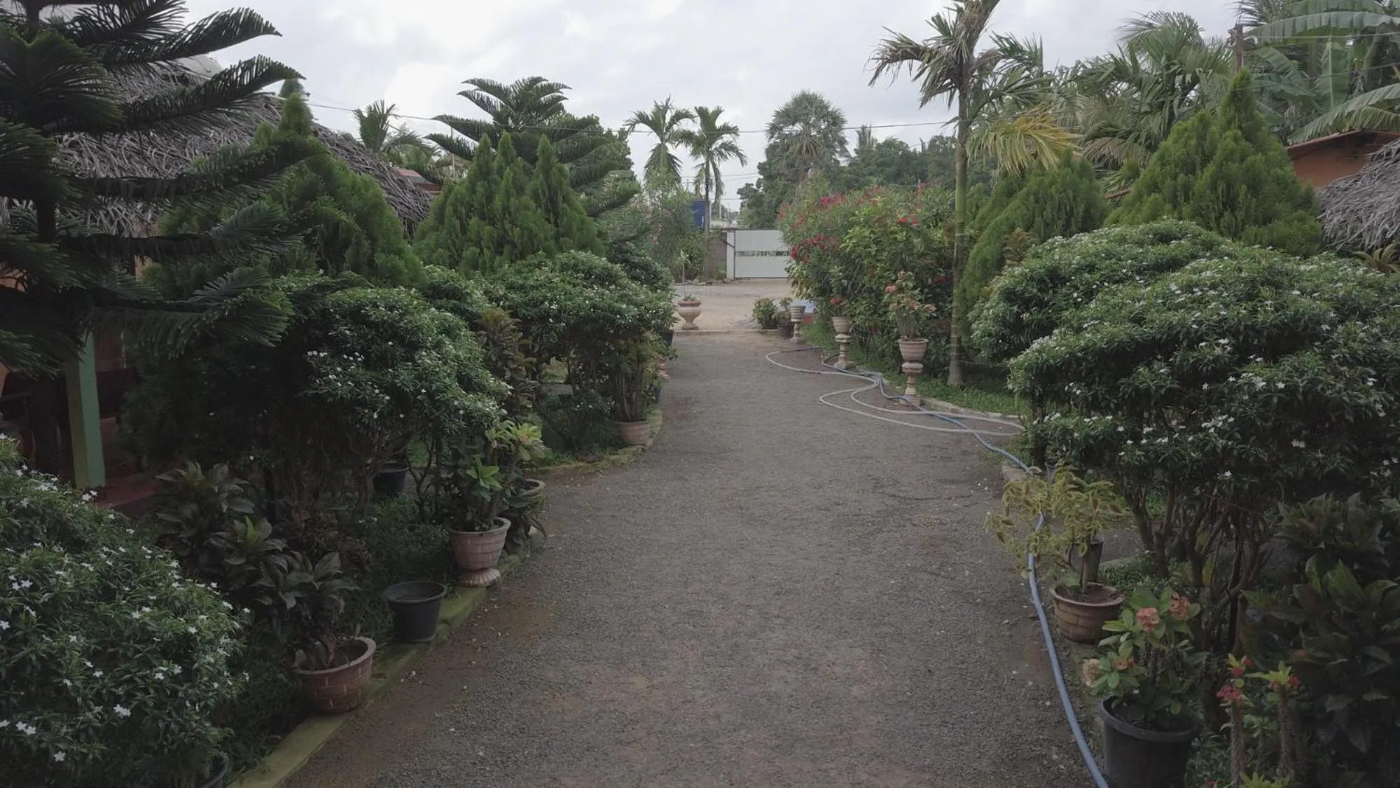 Garden in AKR Hotel Kilinochchi