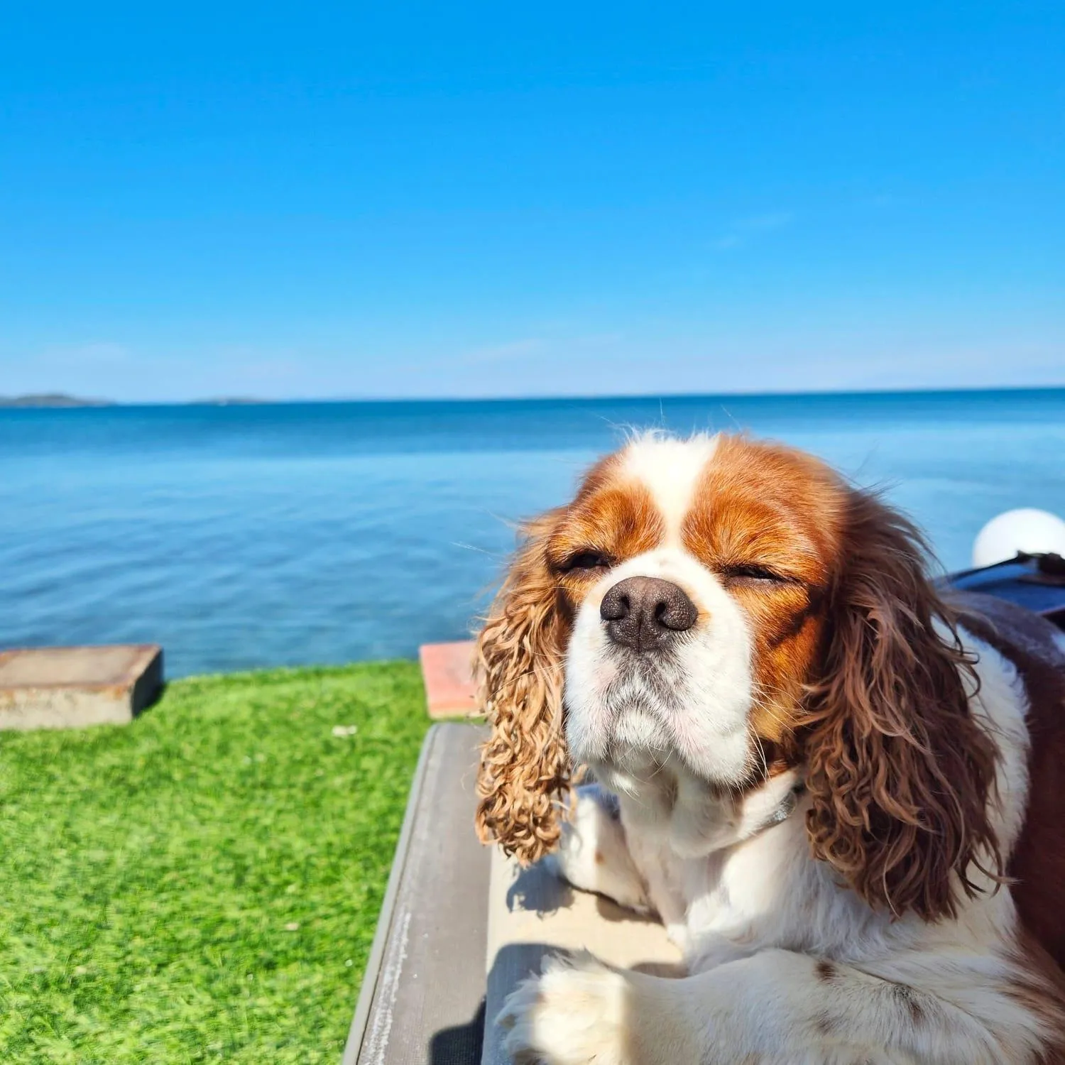 Day in Bambu Urla Otel