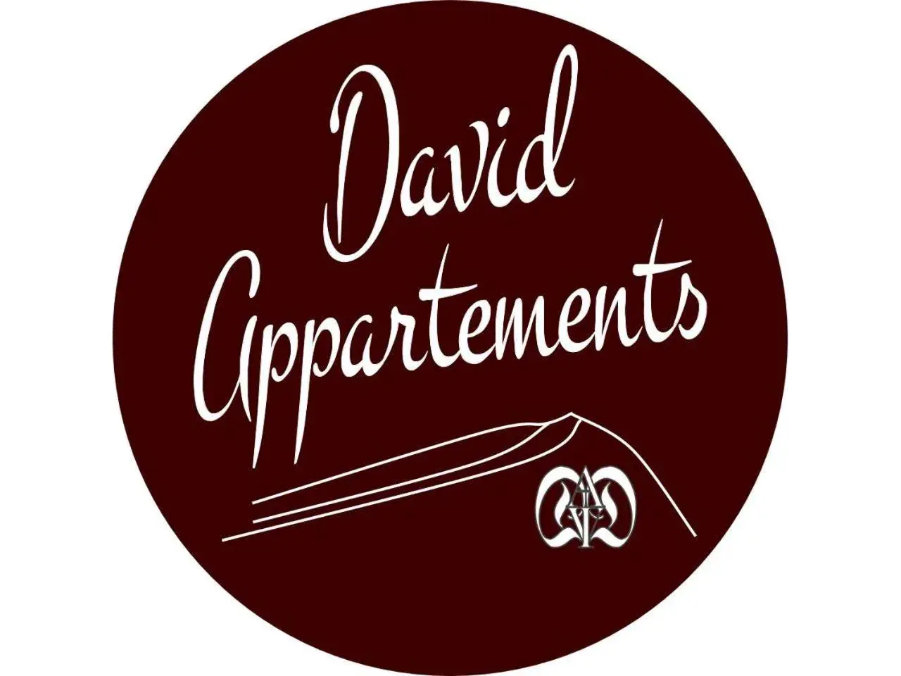 Large One-Bedroom Apartment in David Appartments Large One-Bedroom Apartment in David Appartments