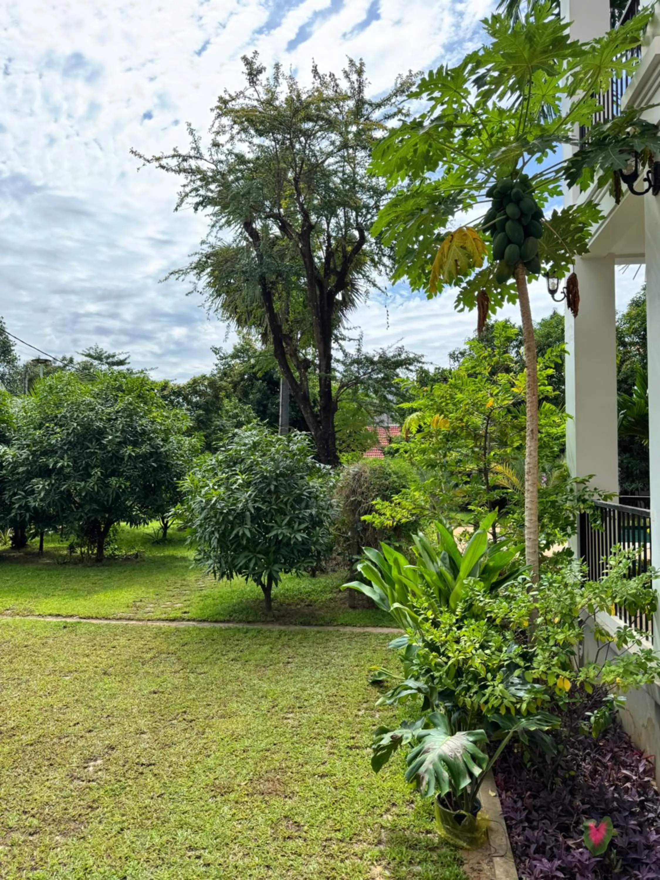 Natural landscape in Mealy Villa