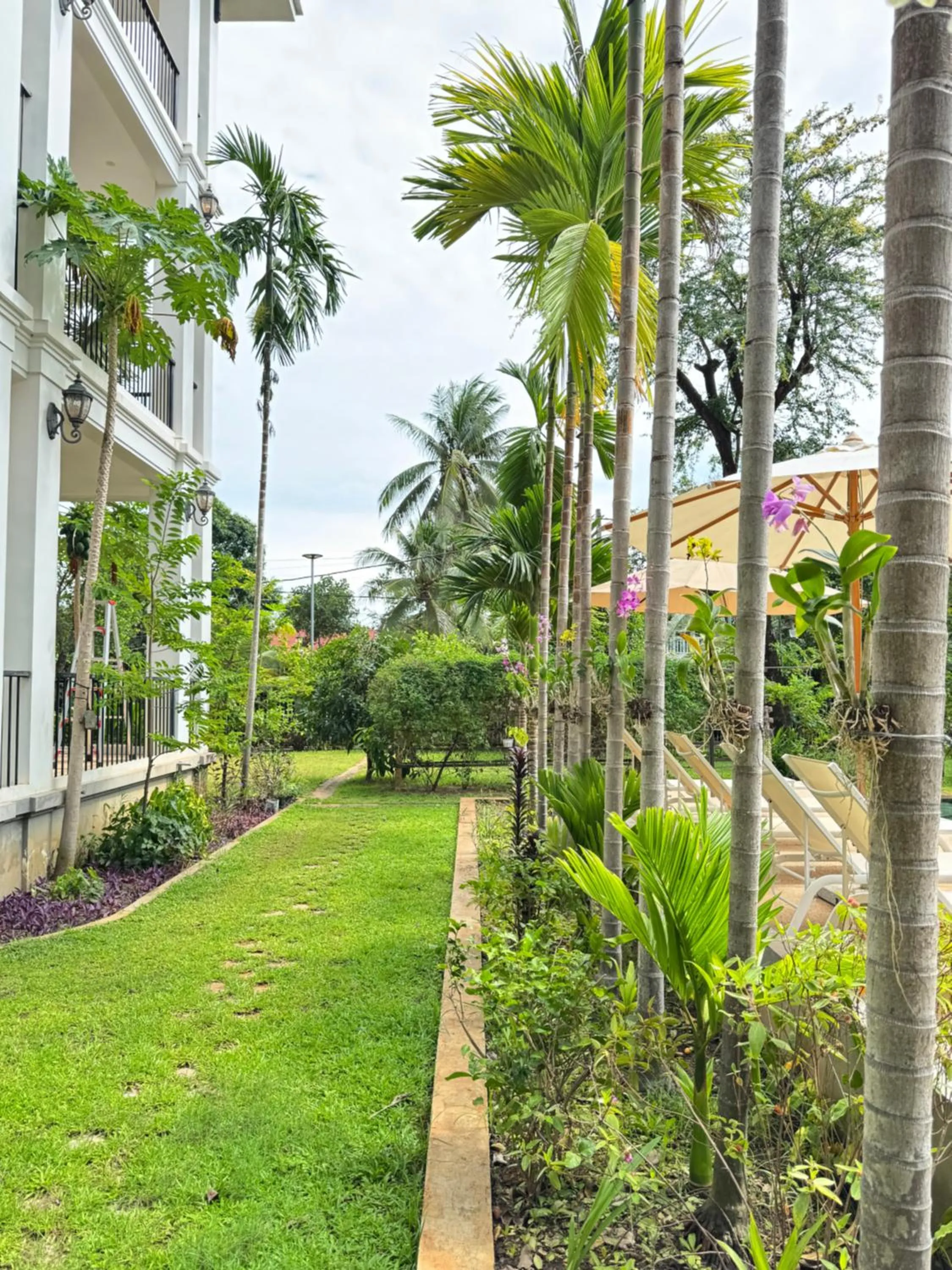 Garden in Mealy Villa