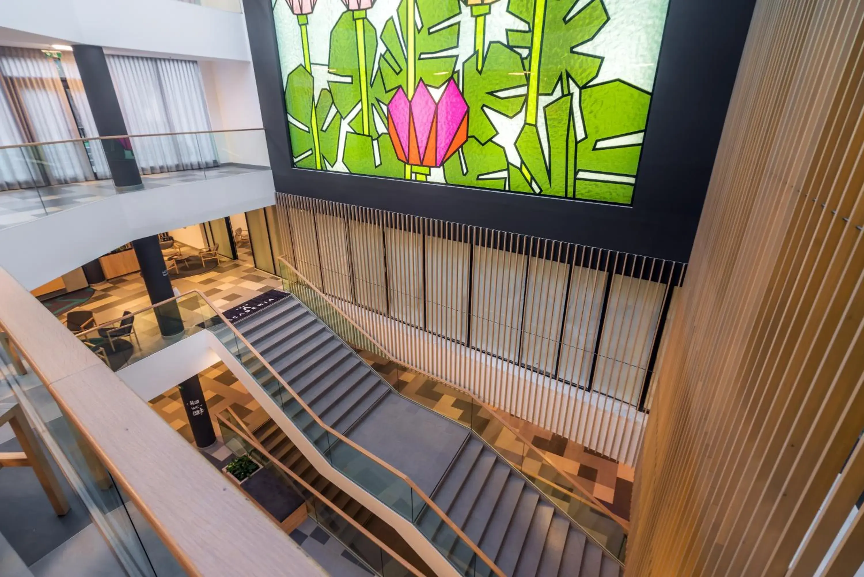 Bird's eye view in Hotel Academia Bird's eye view in Hotel Academia