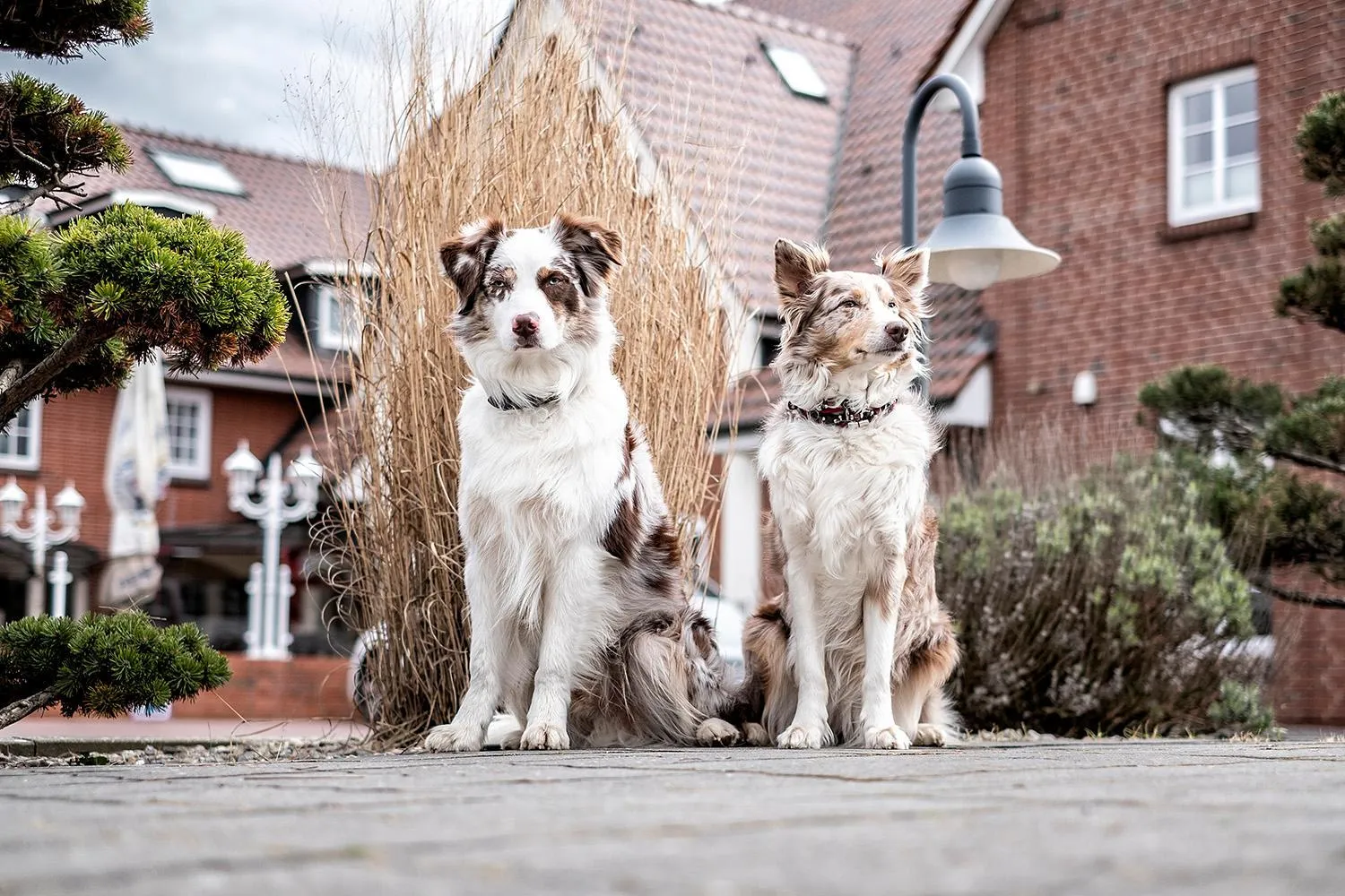 Property building in Hotel Neuwarft Altbau