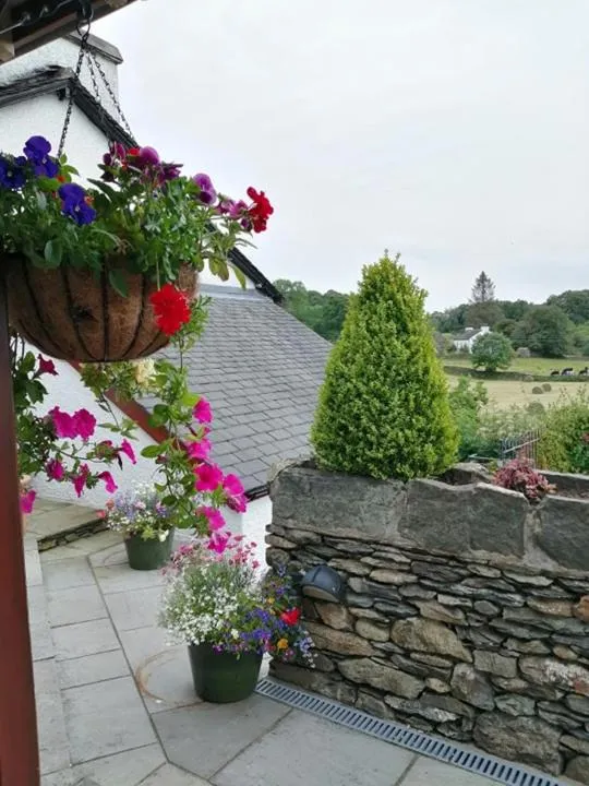 Property building in The Brown Horse Inn