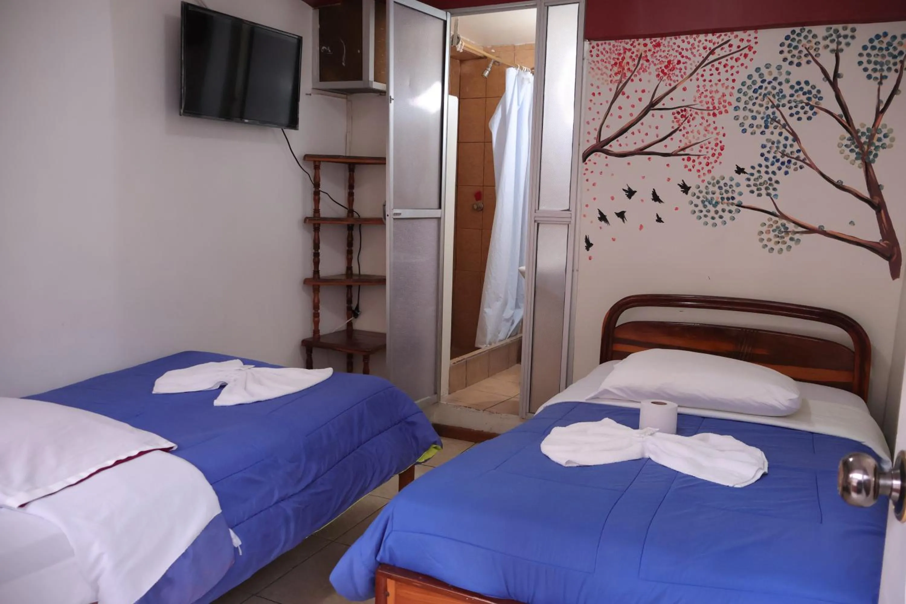 Bed in Andes Hostal