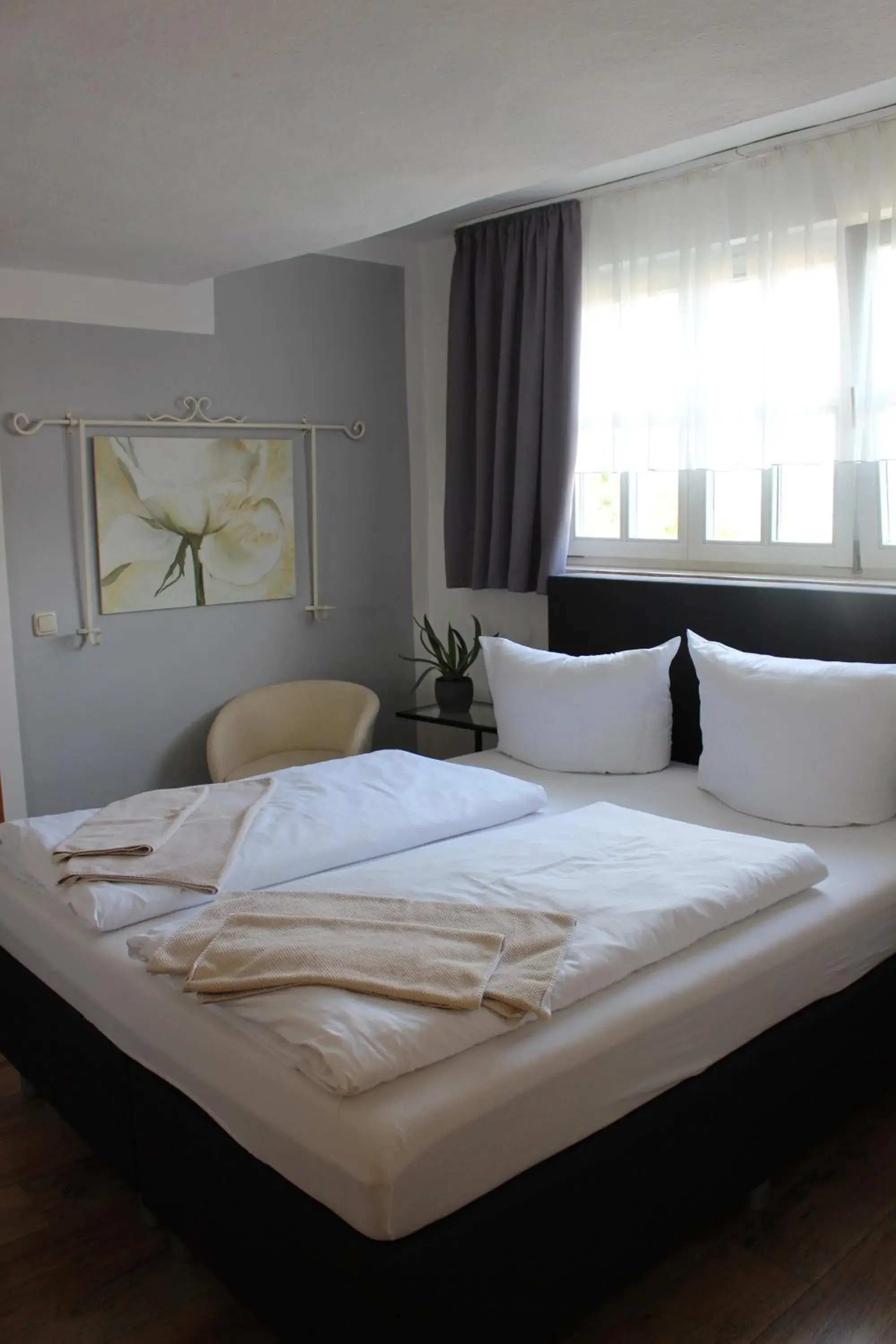 Hotel Wolke Hotel Wolke