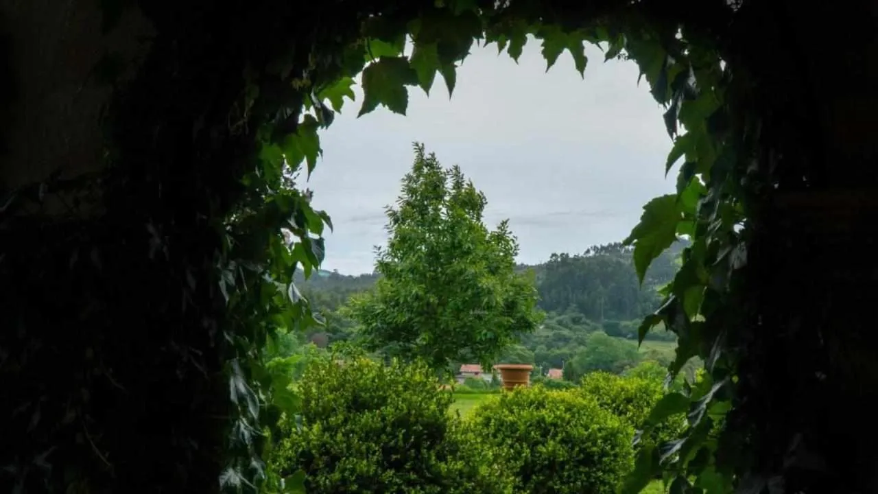 Apartamentos Arcadia