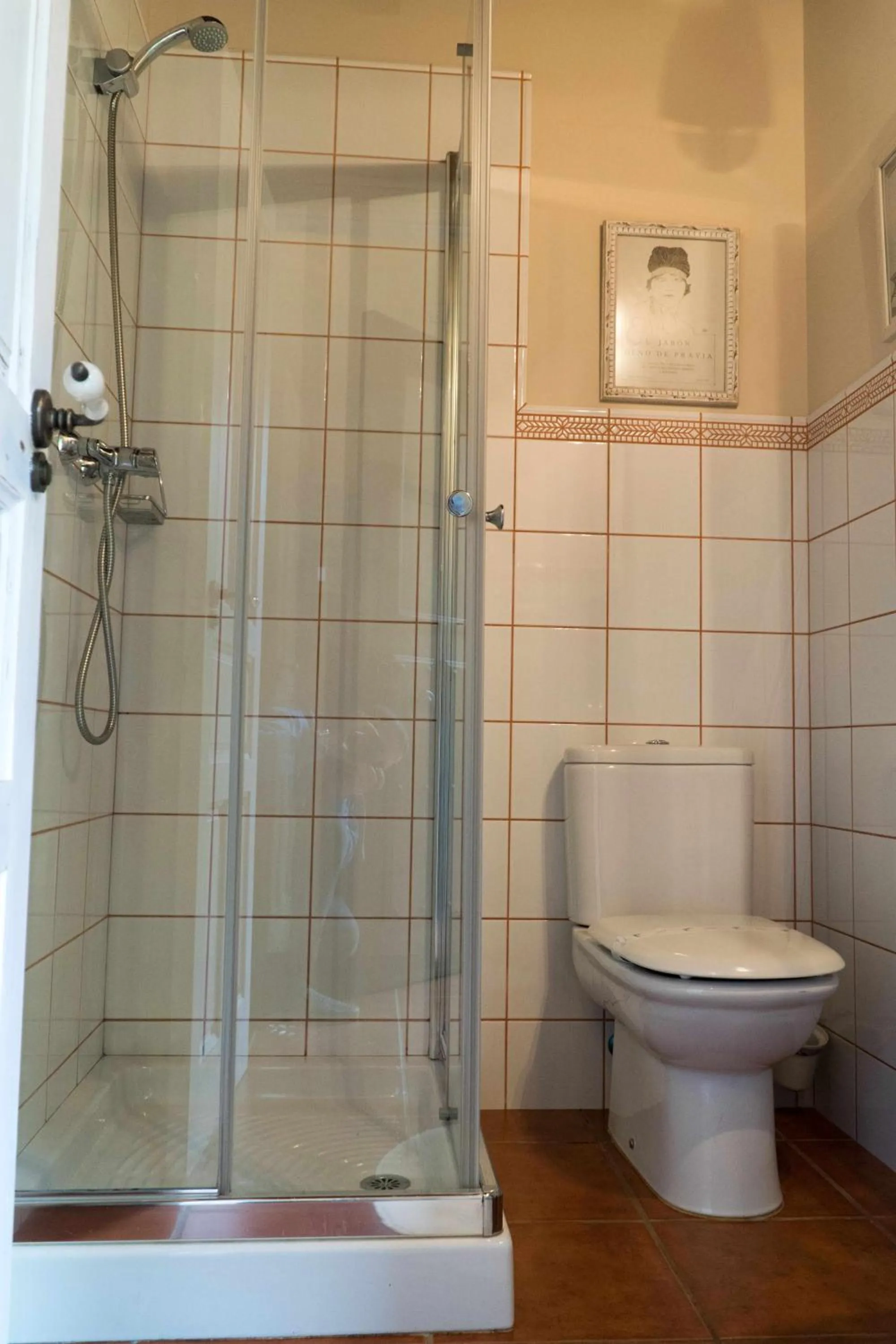 Shower in Apartamentos Arcadia