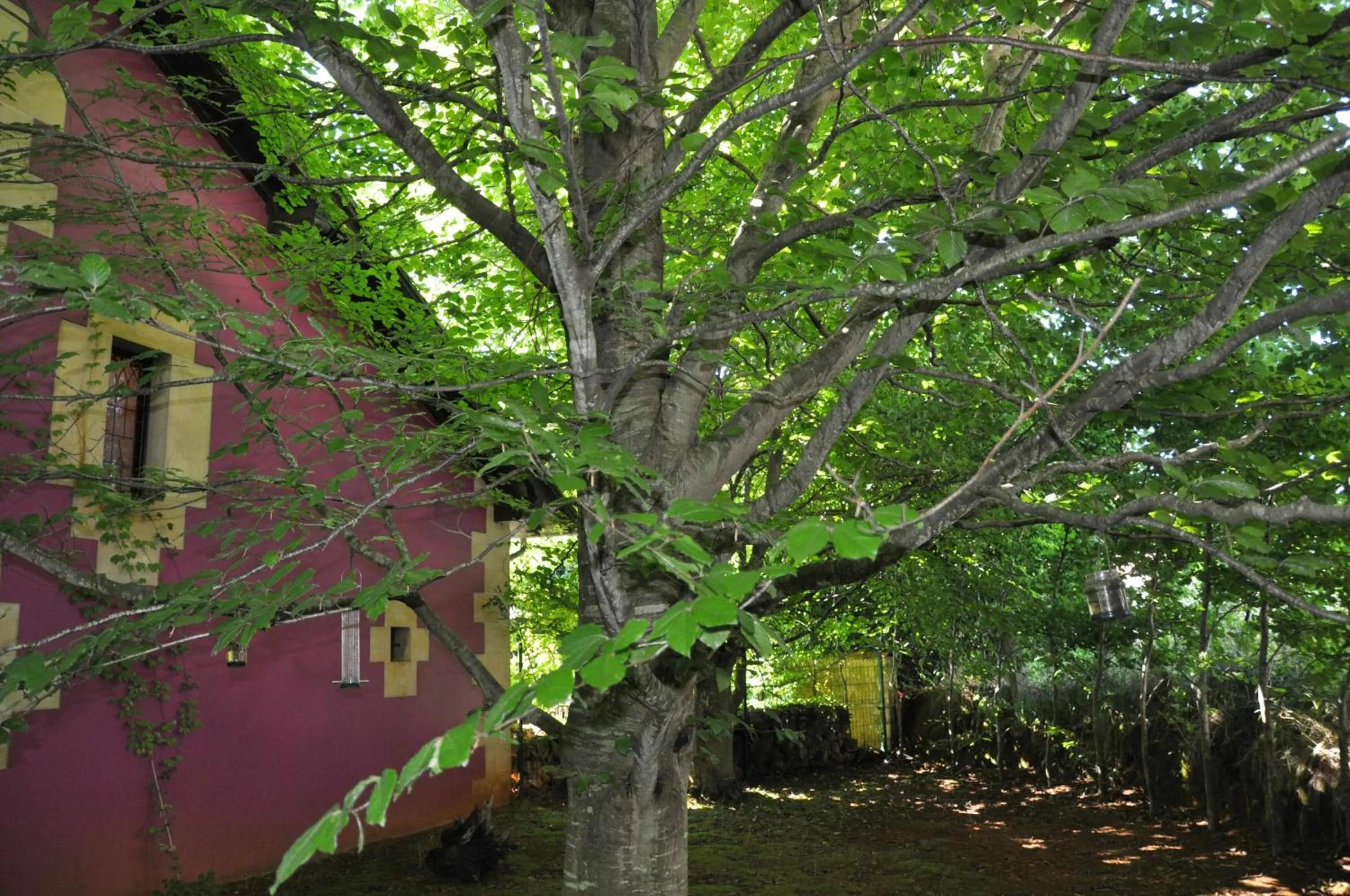 Facade/entrance in Apartamentos Arcadia