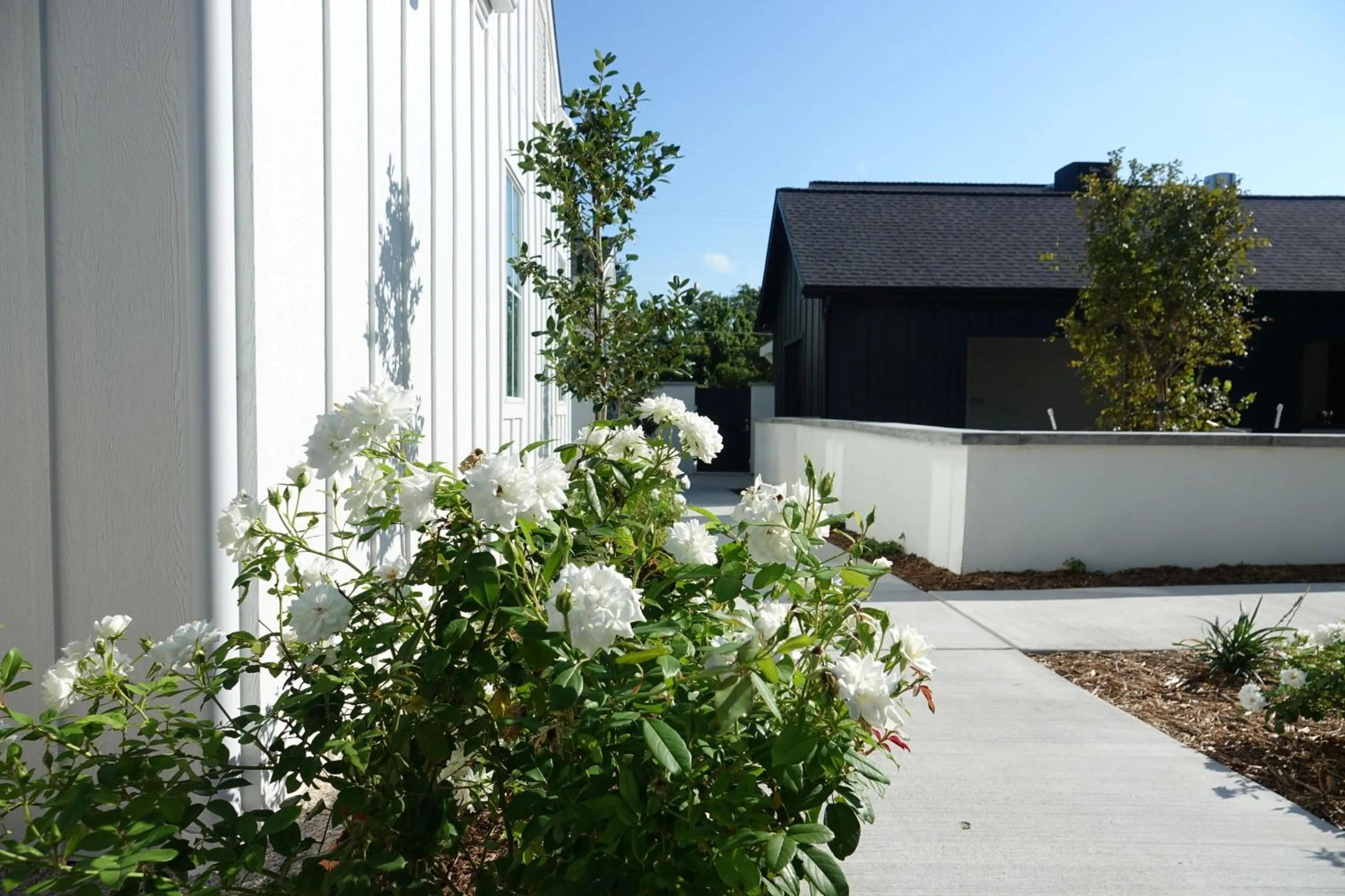 Garden view in Whitetail Court Hotel