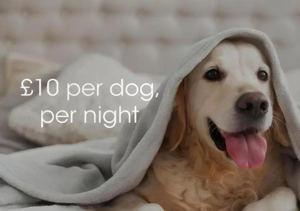 Bedroom in The Beresford Hotel Bedroom in The Beresford Hotel