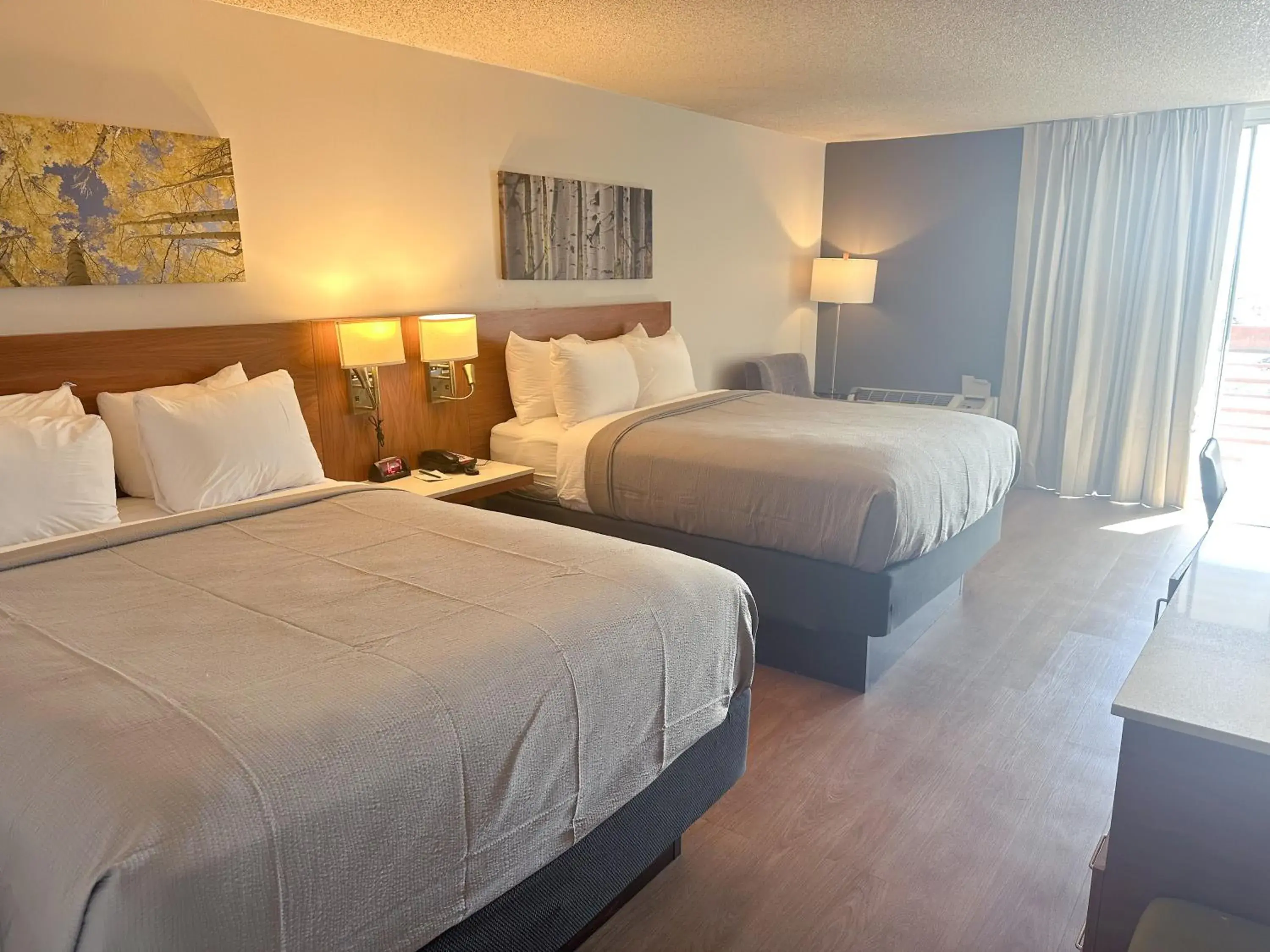 Bedroom, Bed in Quality Inn & Suites Fort Collins East Bedroom, Bed in Quality Inn & Suites Fort Collins East